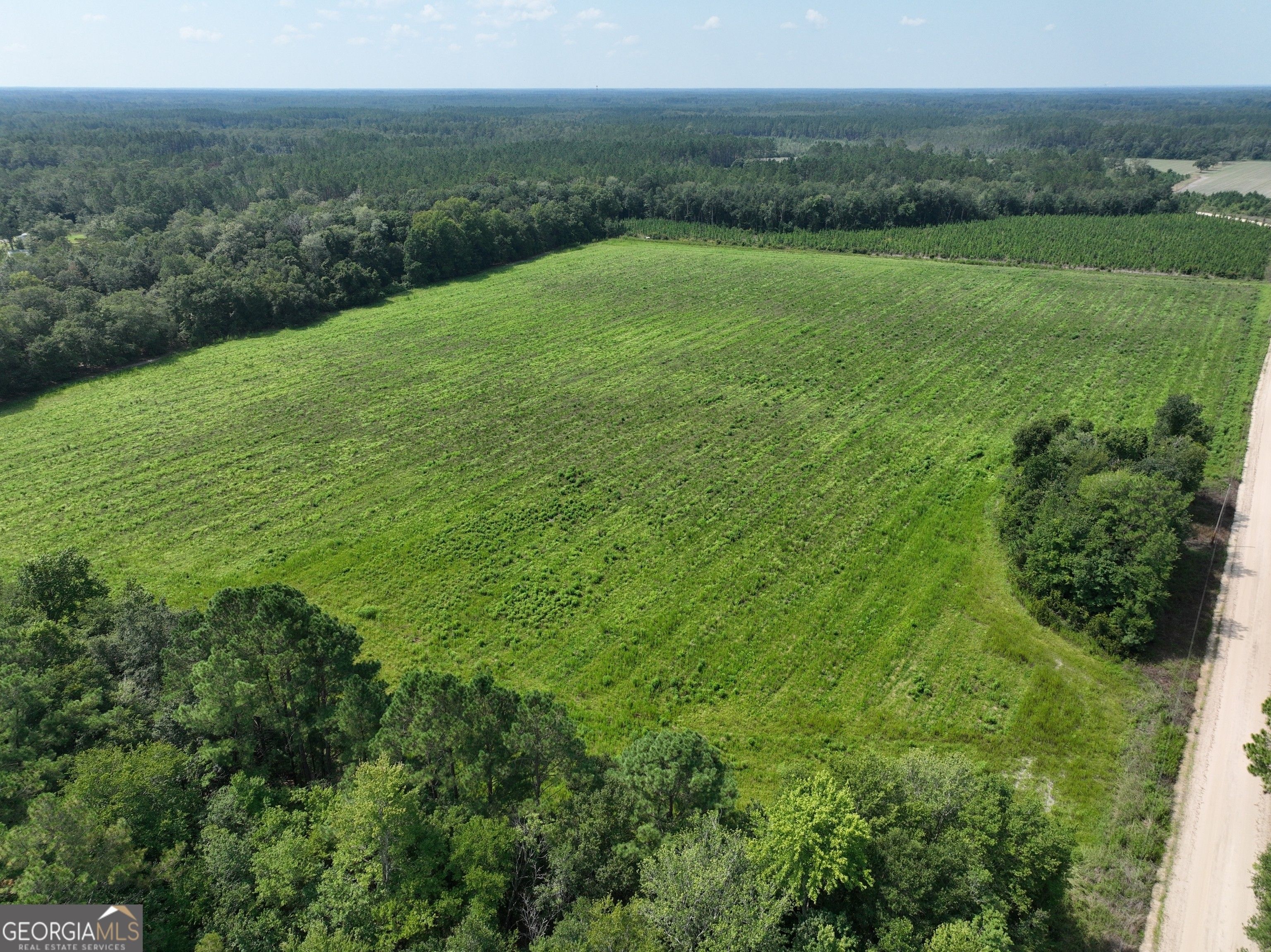 Ludowici, Long County, GA Undeveloped Land for sale Property ID