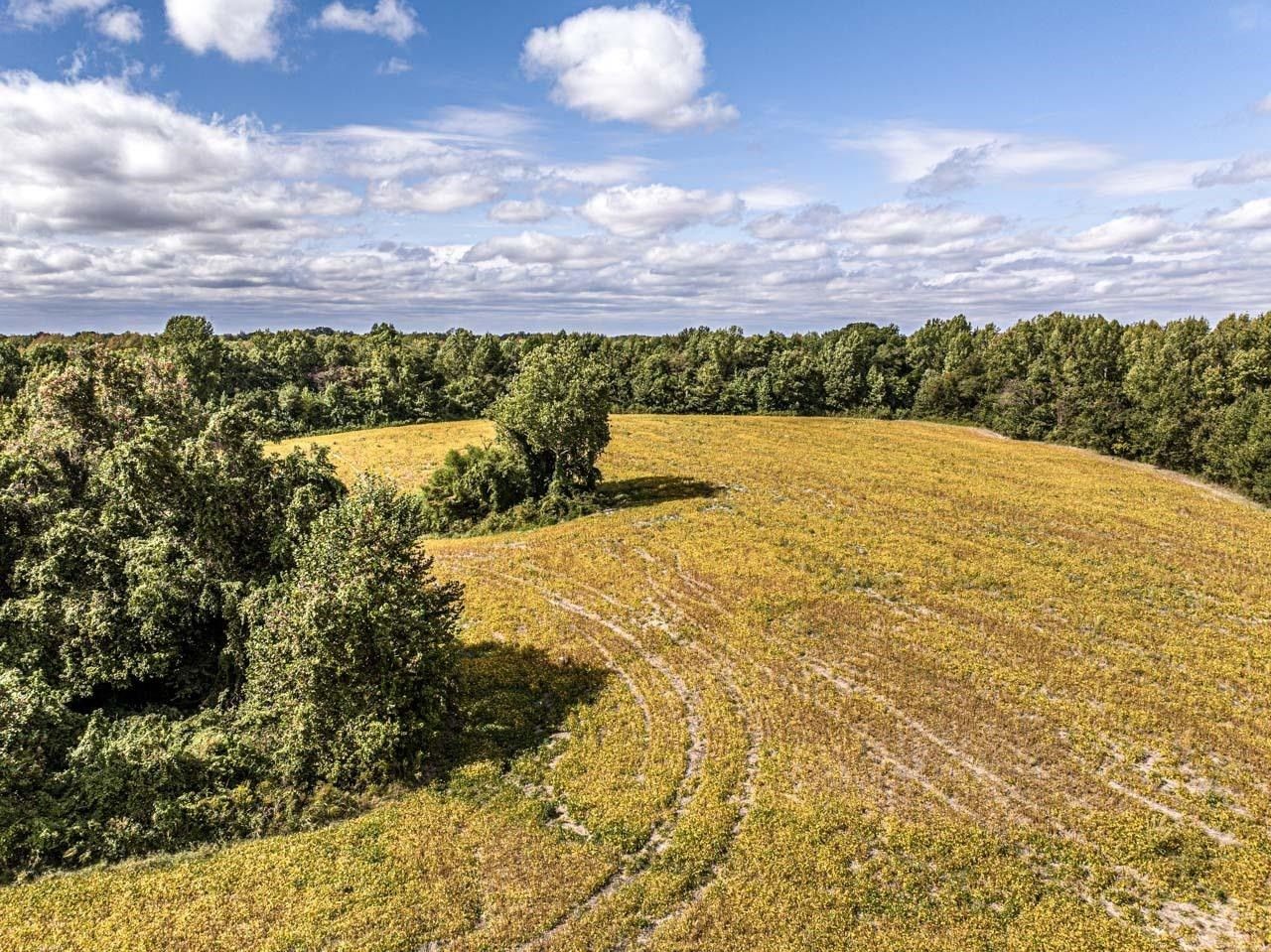 00 DOLAN, Drummonds, TN 38023 MLS 10158869 LandWatch