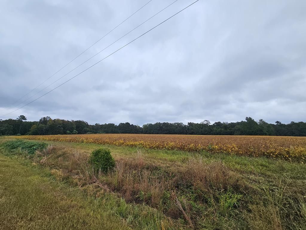 Orangeburg, Orangeburg County, SC Farms and Ranches for sale Property ID 418001420 LandWatch