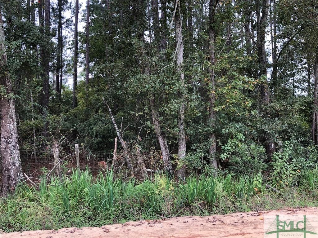 Brooklet, Bulloch County, GA Undeveloped Land, Homesites for sale