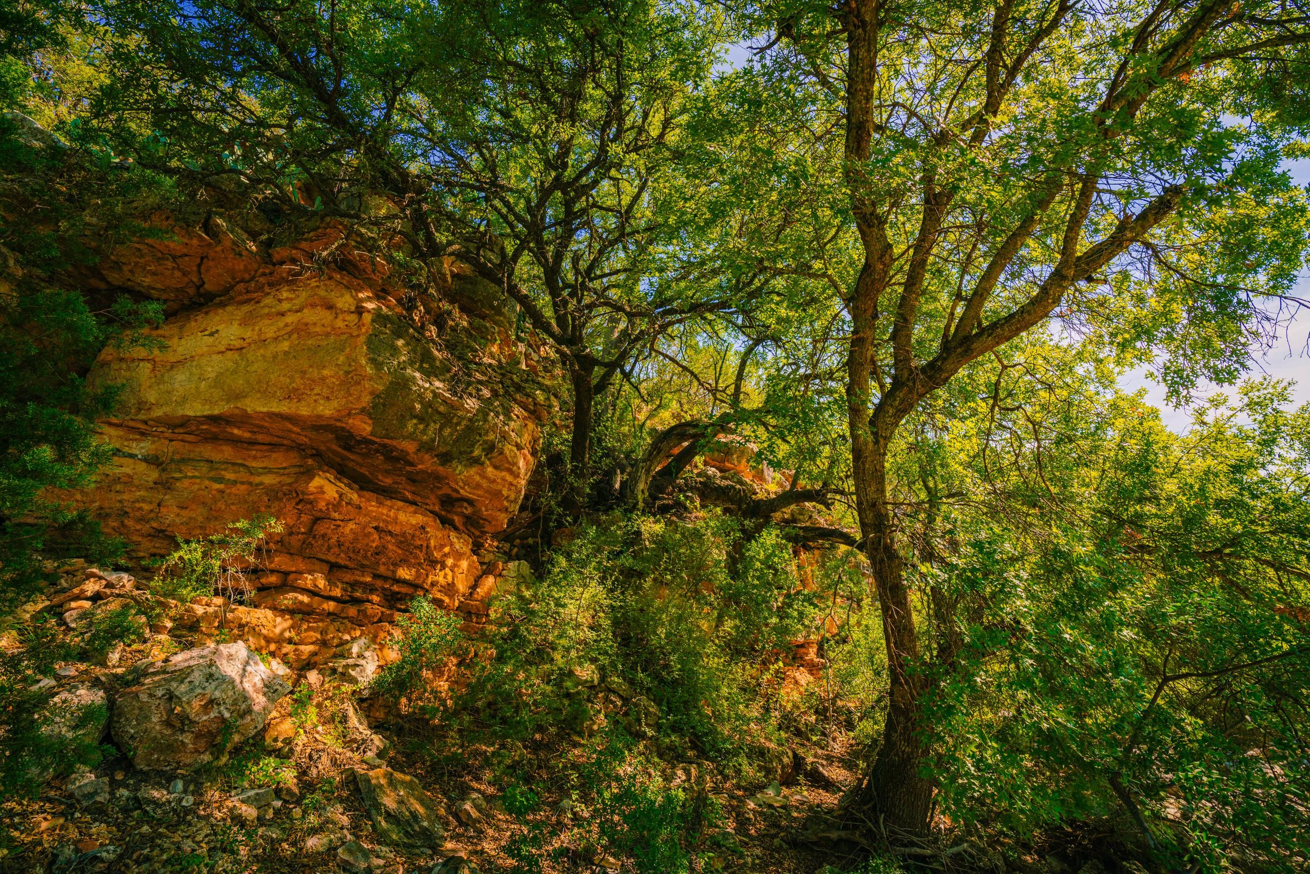 440 acres in Cleo, TX, 76849 LandWatch