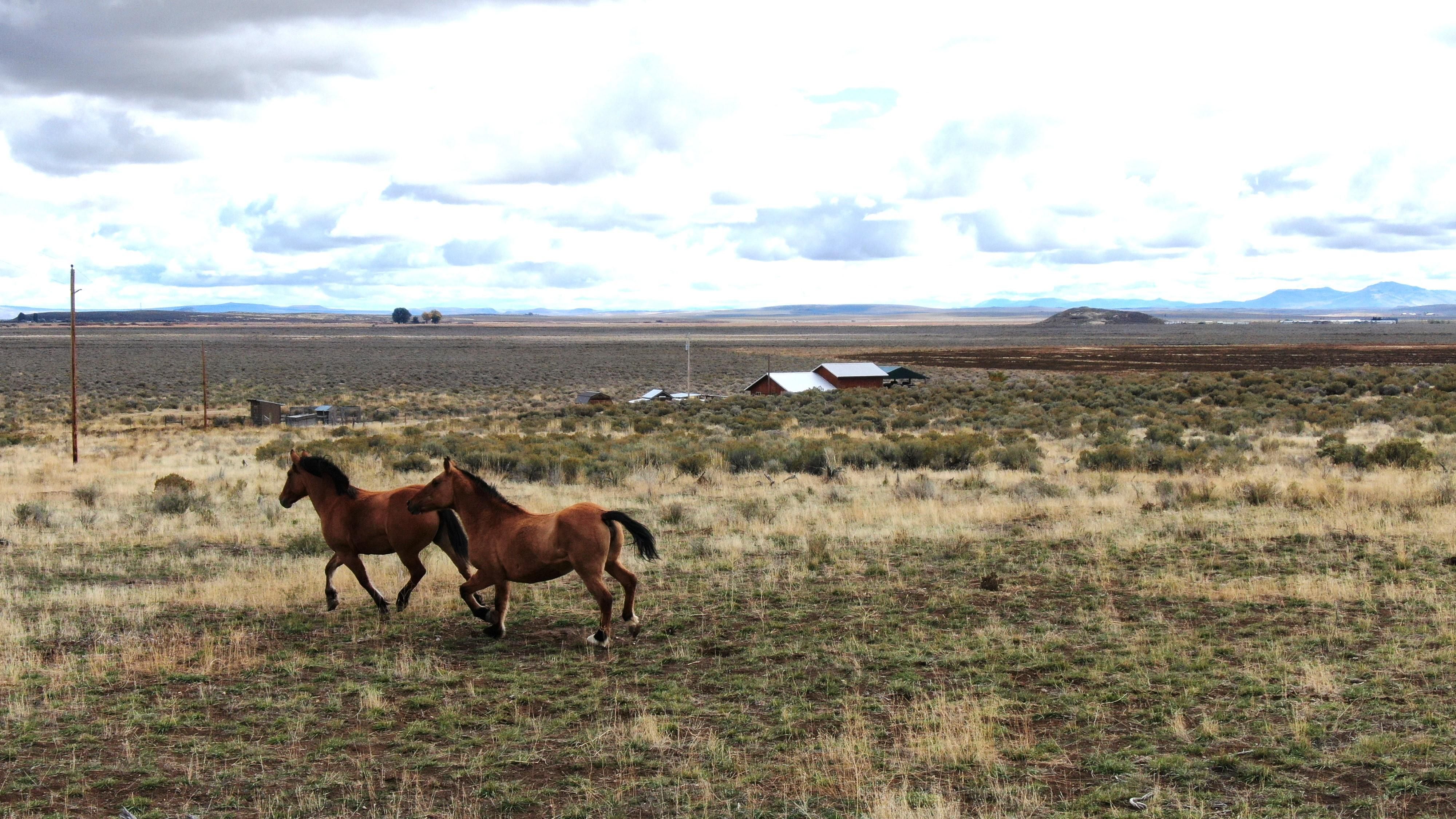 Princeton, Harney County, OR House for sale Property ID 418003597