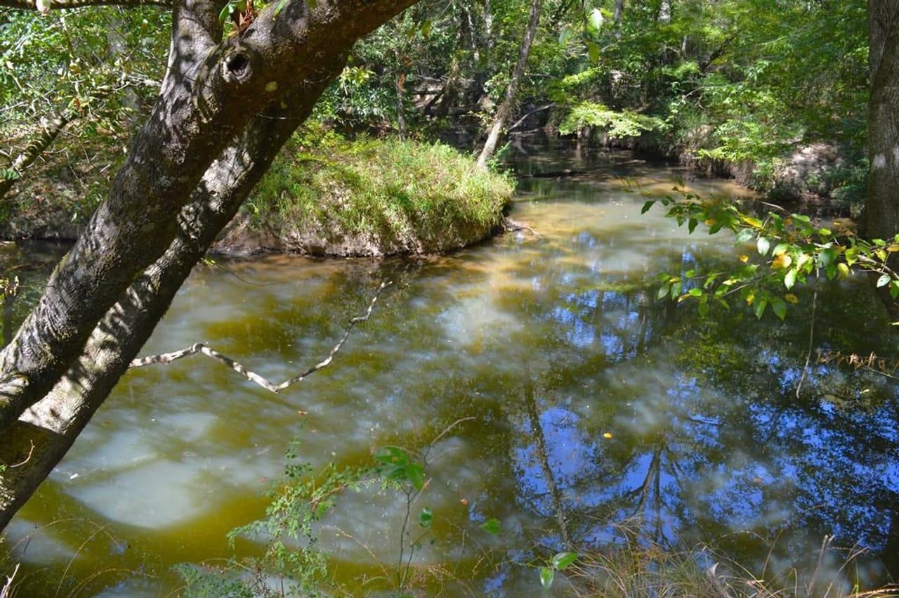 Summit, Amite County, MS Recreational Property, Hunting Property