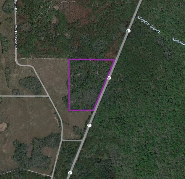 Mayo, Lafayette County, FL Timberland Property, Hunting Property for