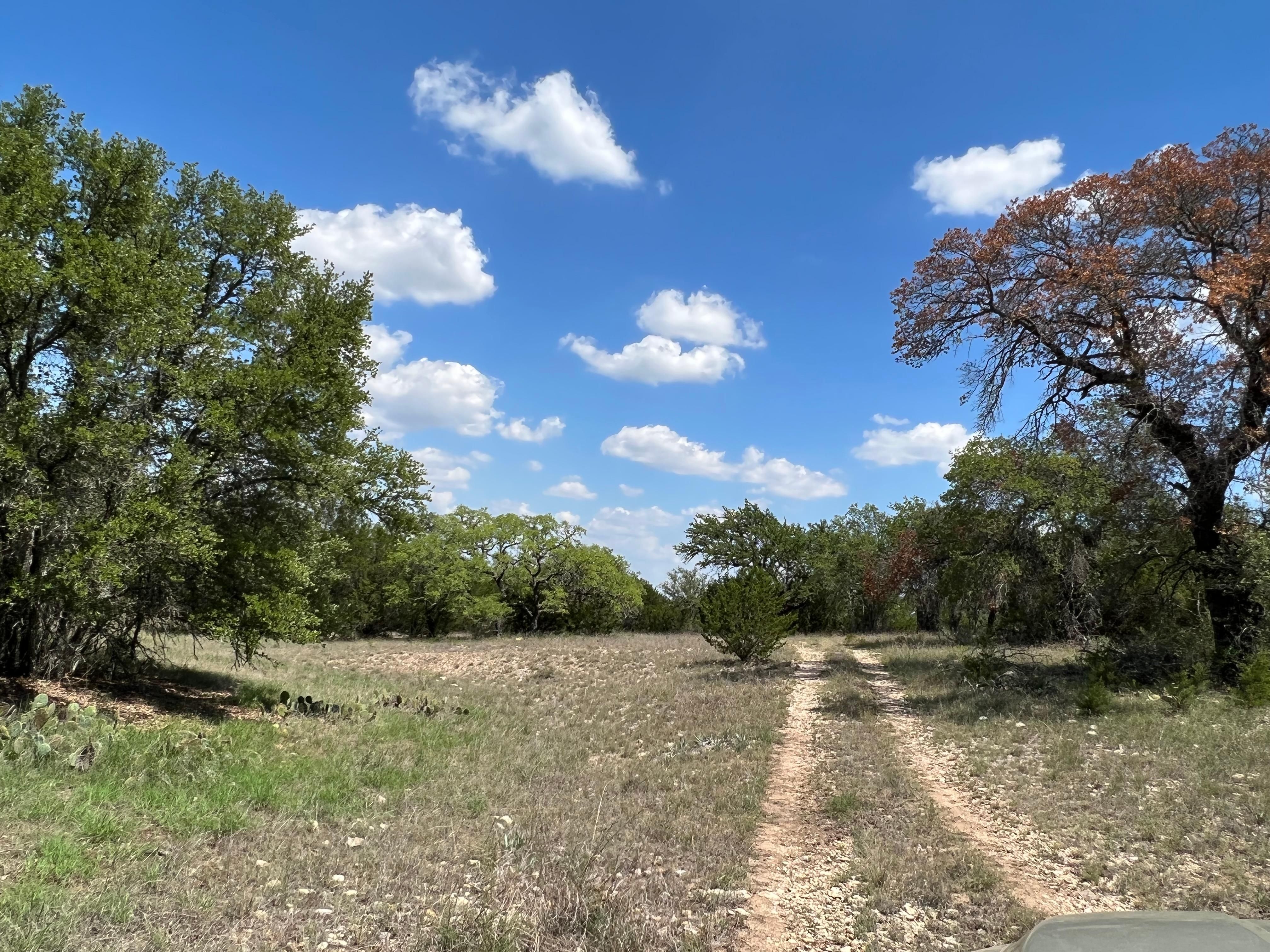 100 acres in Mullin, TX, 76864 LandWatch