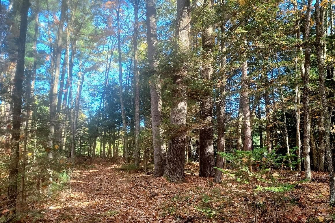 2 acres in Elcho, WI, 54428 LandWatch
