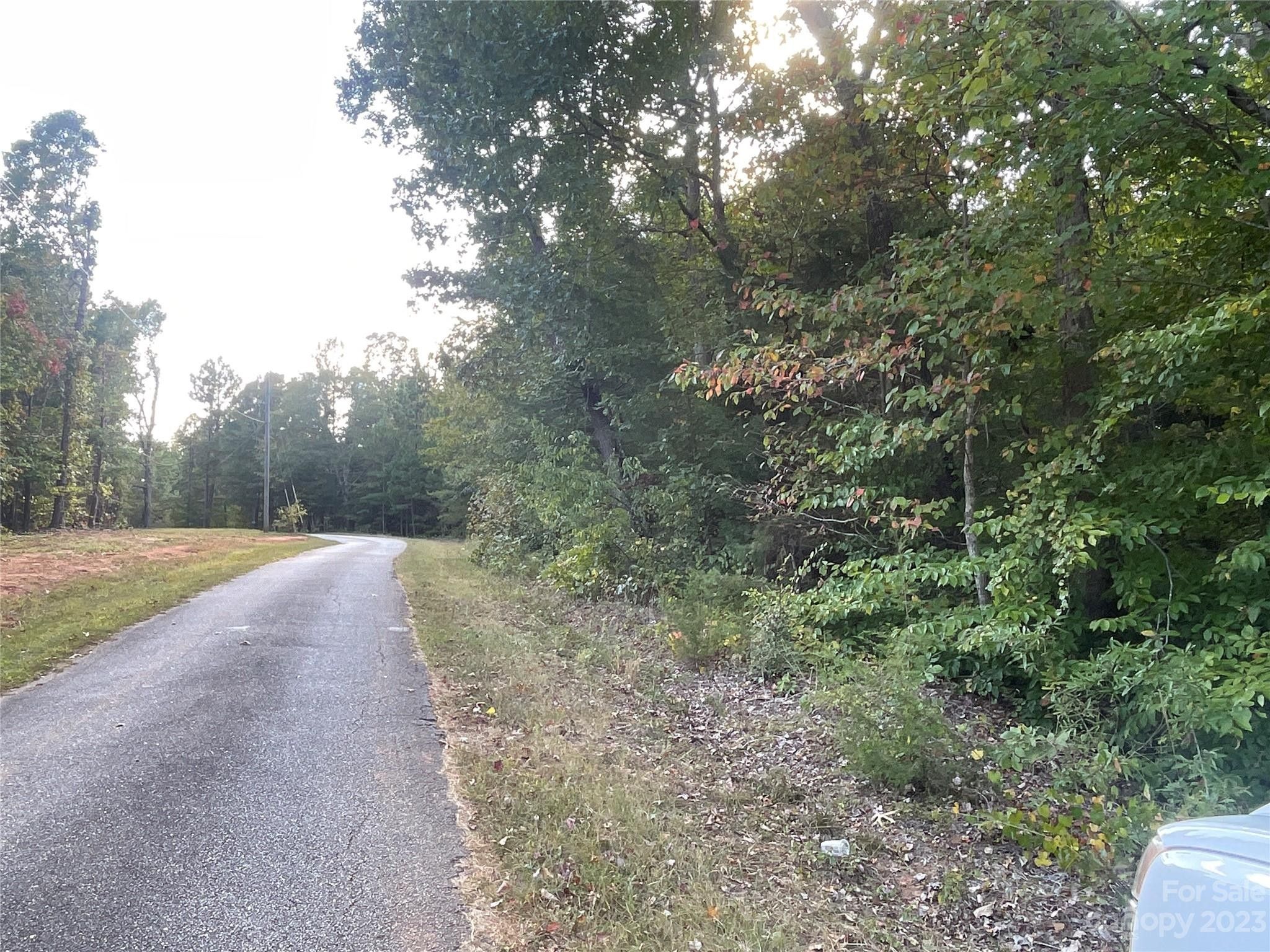 Jonesville, Union County, SC Undeveloped Land for sale Property ID