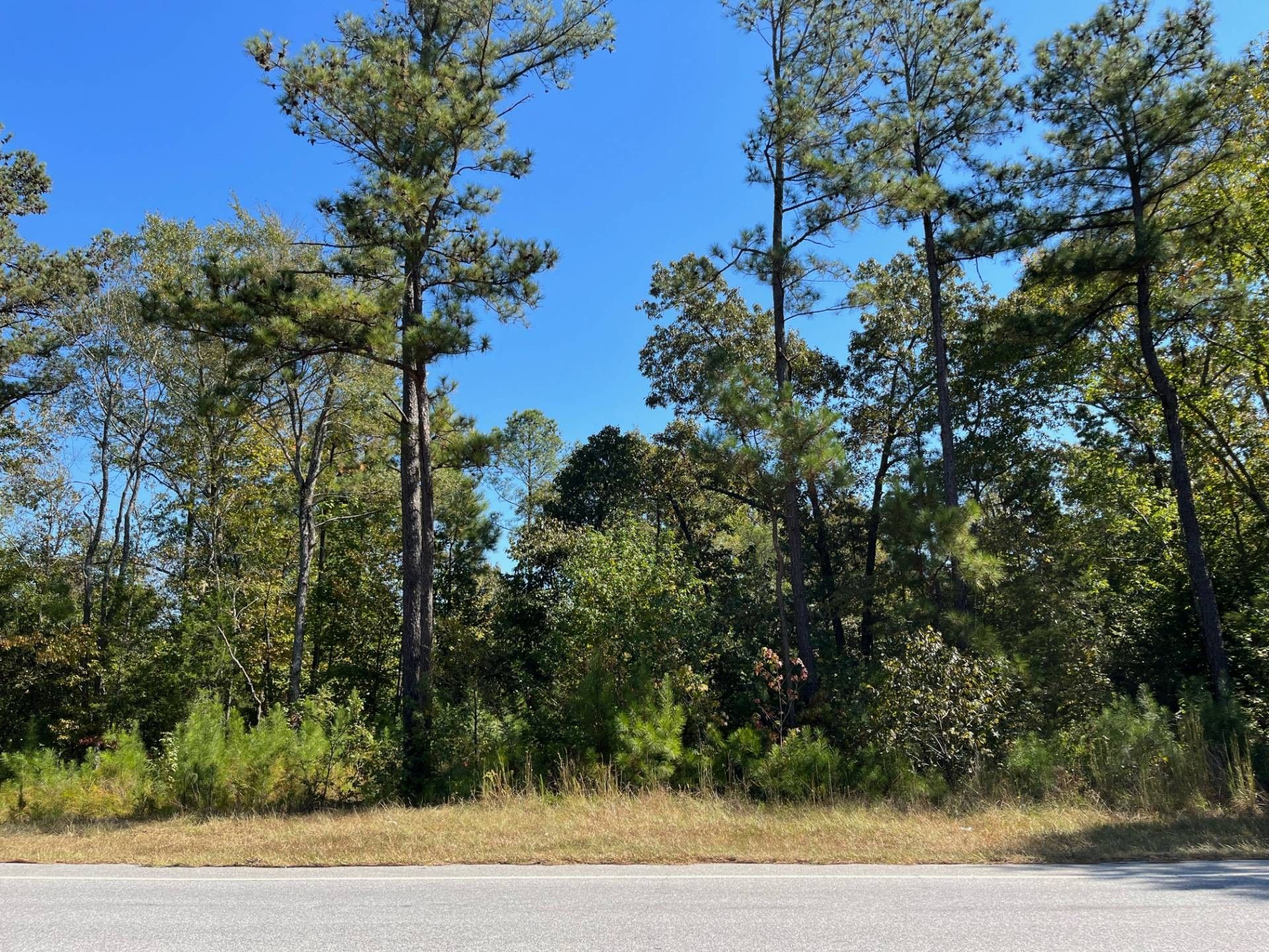 Abbeville, Abbeville County, SC Undeveloped Land for sale Property ID