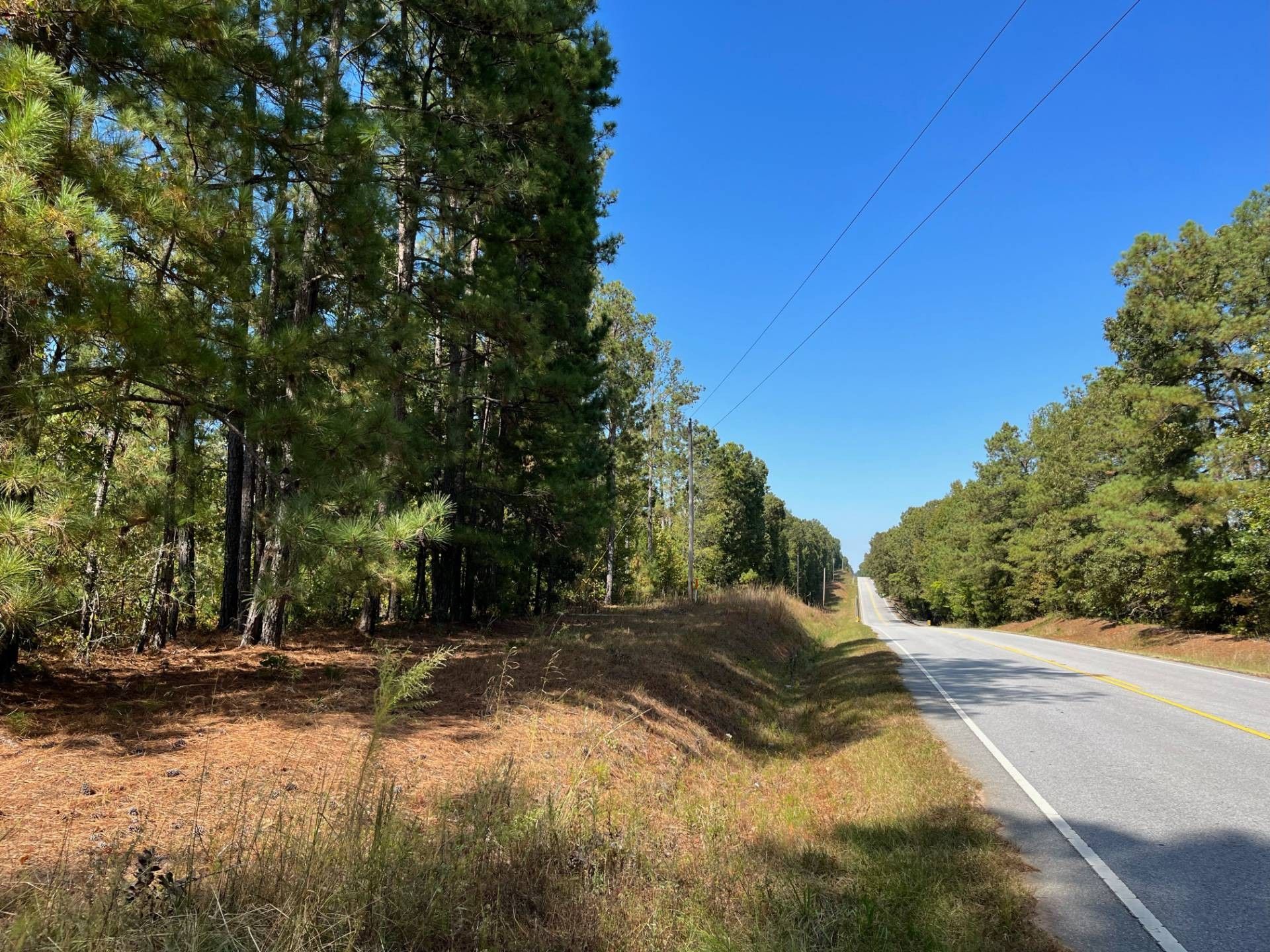Abbeville, Abbeville County, SC Undeveloped Land for sale Property ID