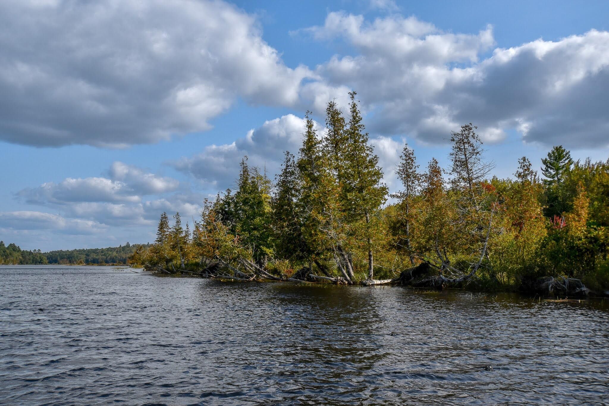 00 Carver Road, Milo, ME 04463 MLS 1574974 LandWatch