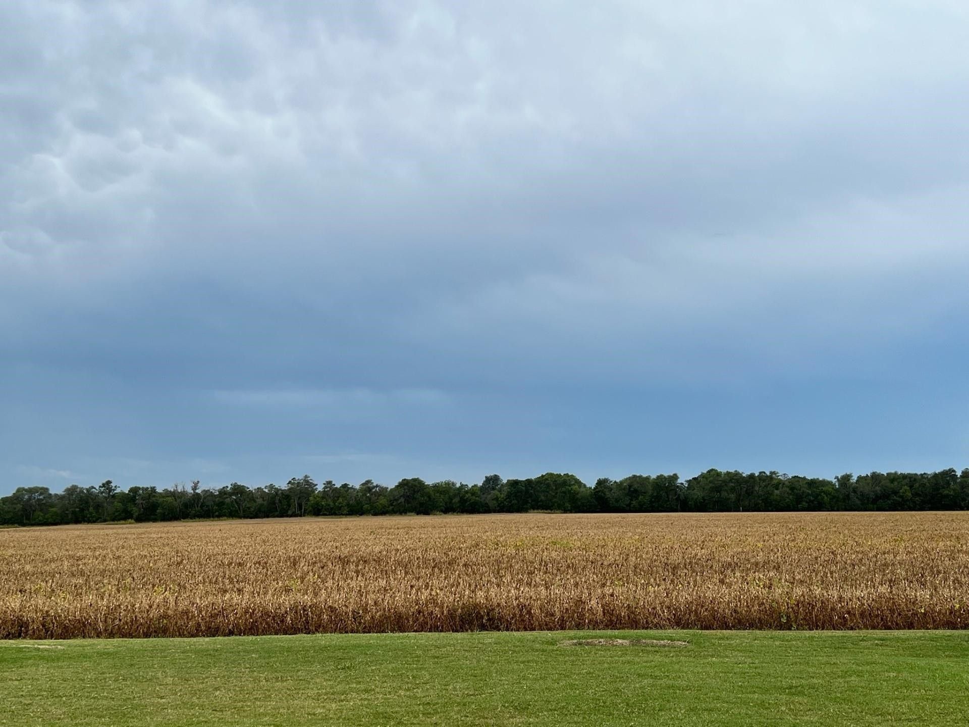 Wellington, Sumner County, KS Undeveloped Land for sale Property ID