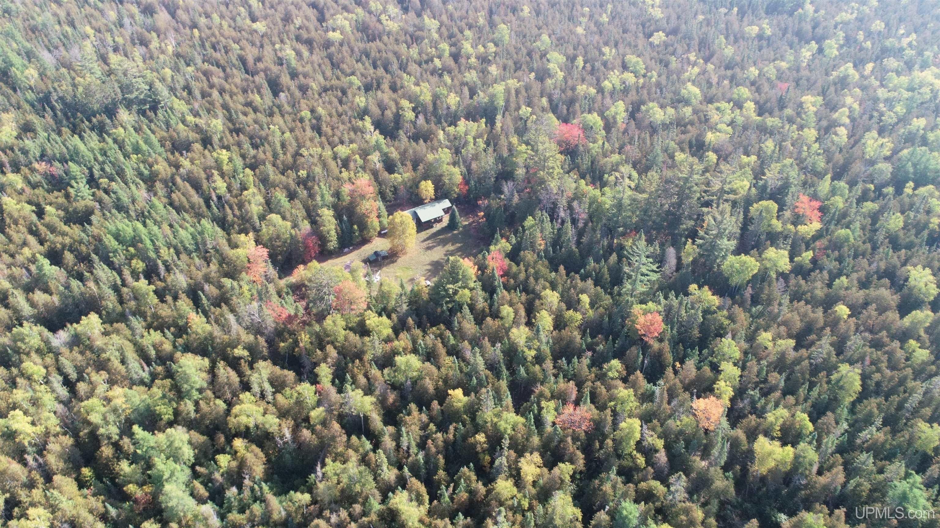 Manistique, Schoolcraft County, MI Undeveloped Land for sale Property