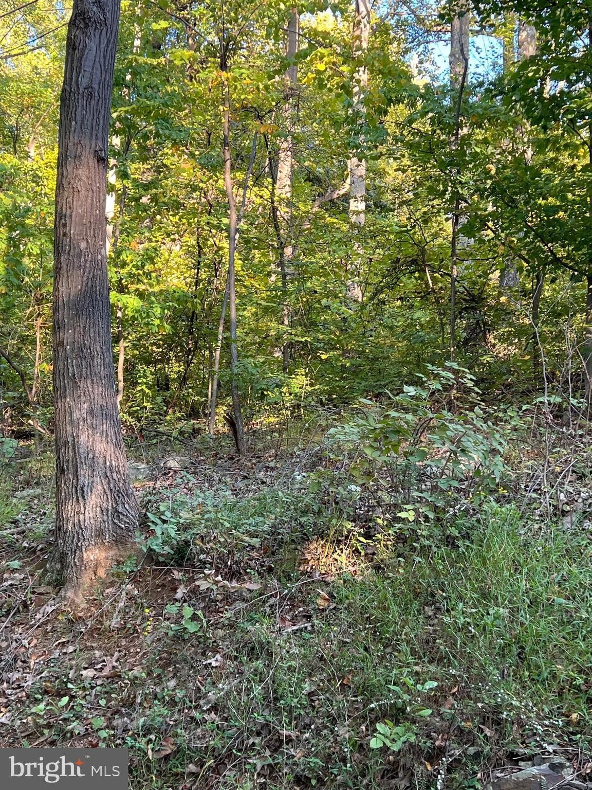 Front Royal, Warren County, VA Undeveloped Land, Homesites for sale