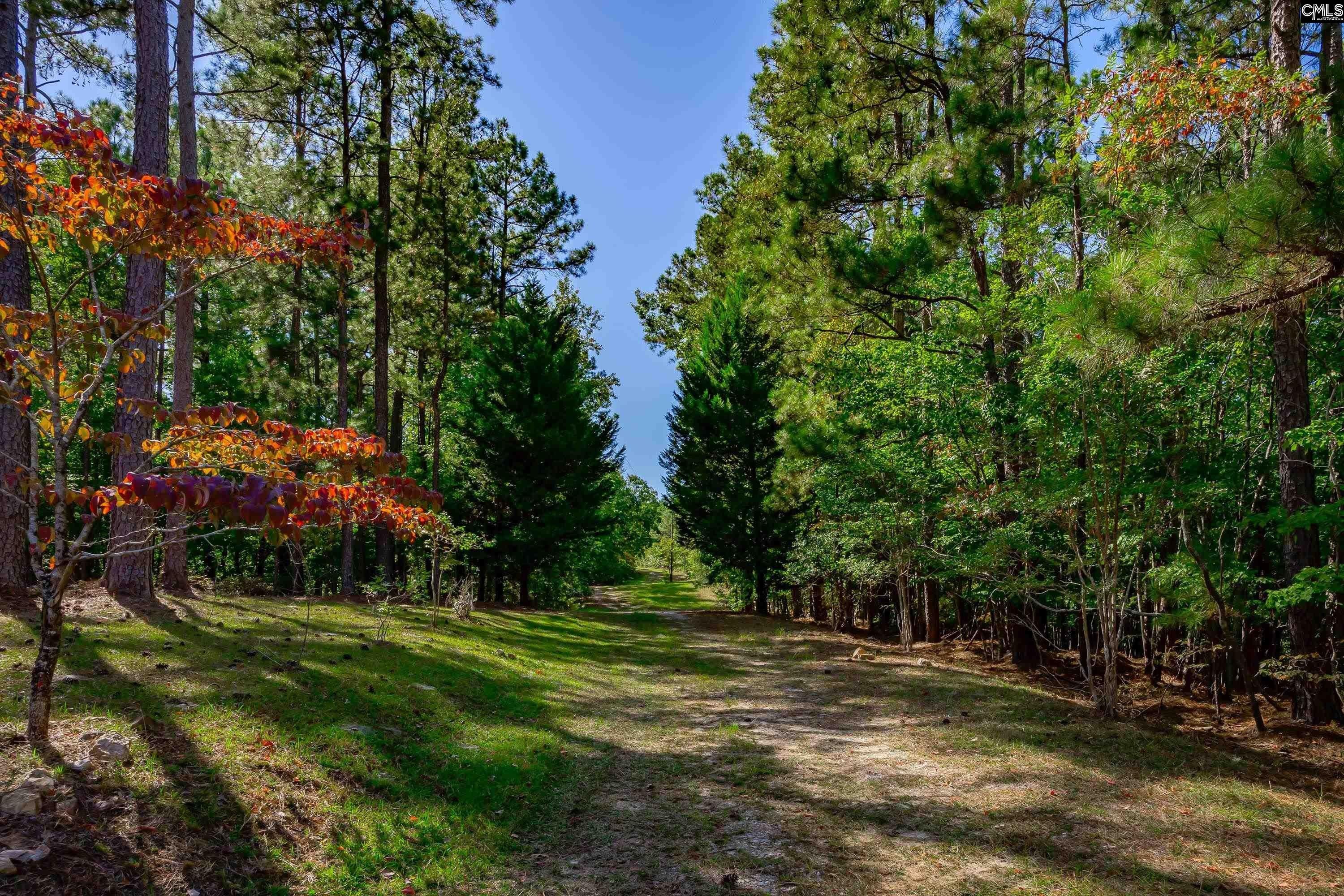 Ridgeway, Fairfield County, SC Lakefront Property, Waterfront Property