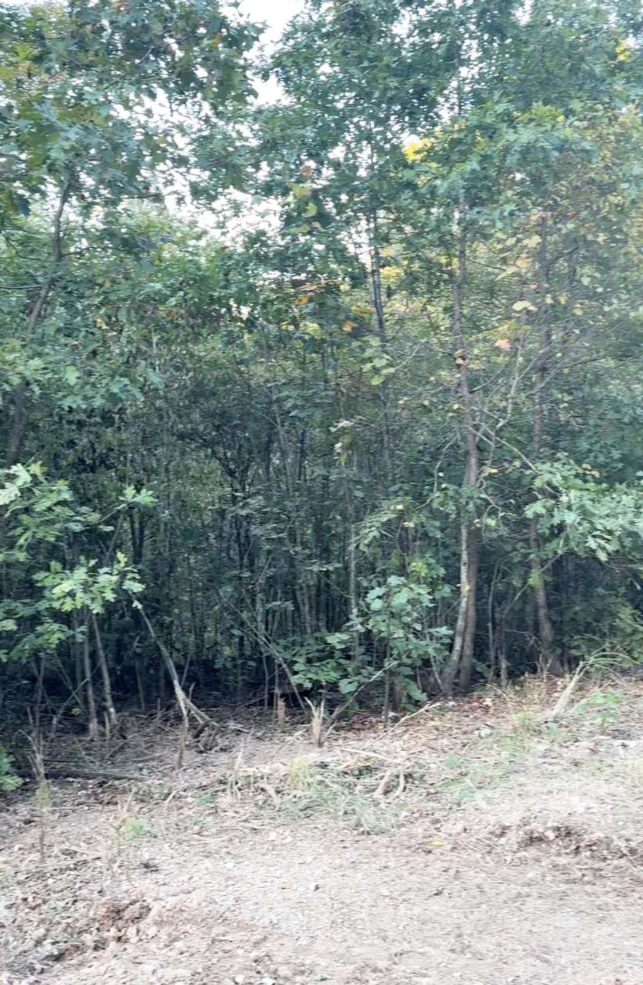 Purdy, Barry County, MO Undeveloped Land for sale Property ID