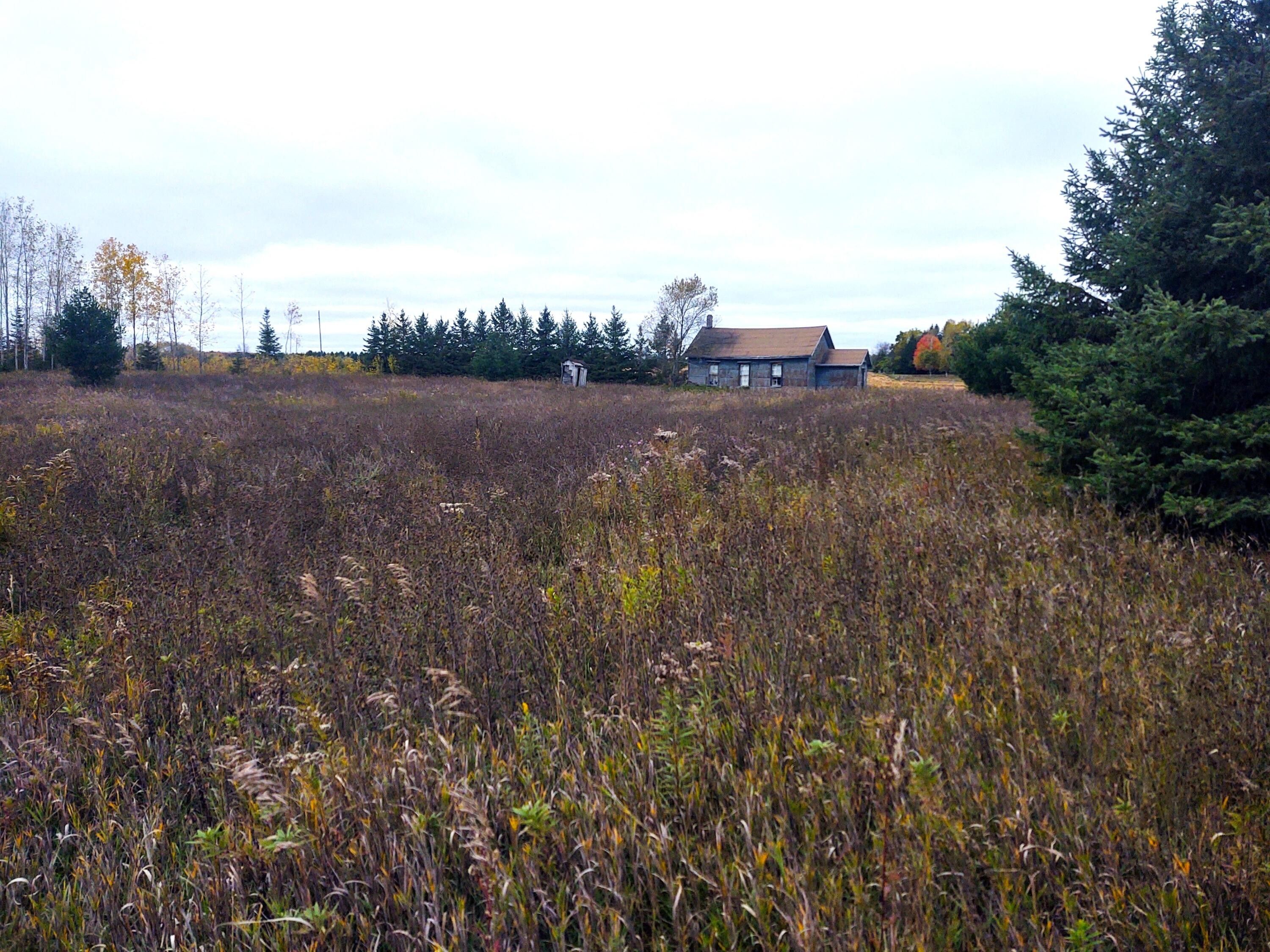 Hillman, Alpena County, MI Undeveloped Land for sale Property ID