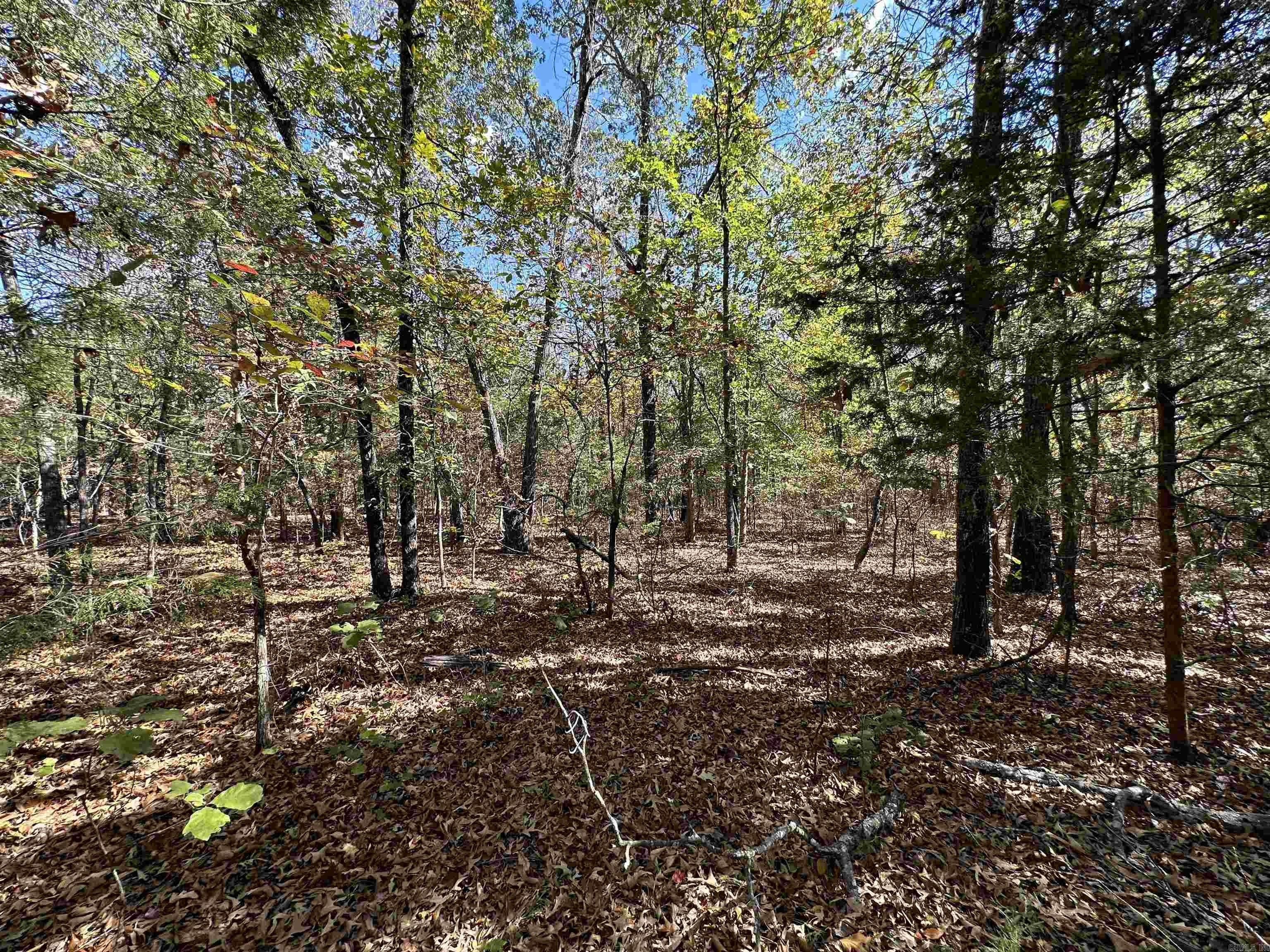 Bradford, Jackson County, AR Undeveloped Land for sale Property ID