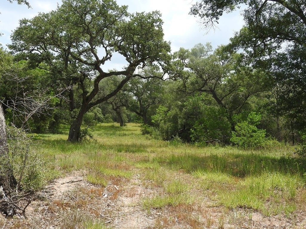 Hallettsville, Lavaca County, TX Farms and Ranches, Lakefront Property