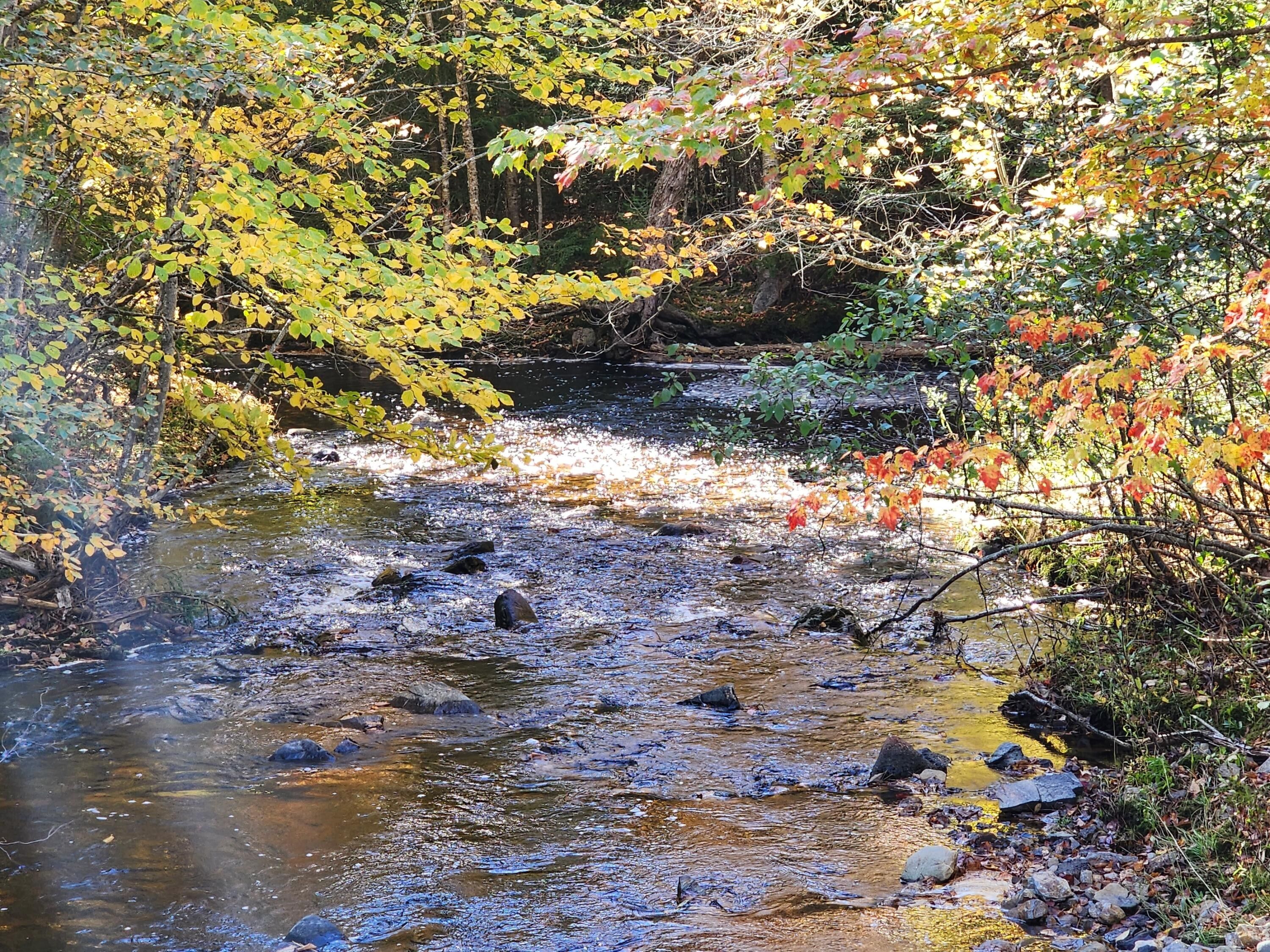 Searsport, Waldo County, ME Undeveloped Land, Lakefront Property