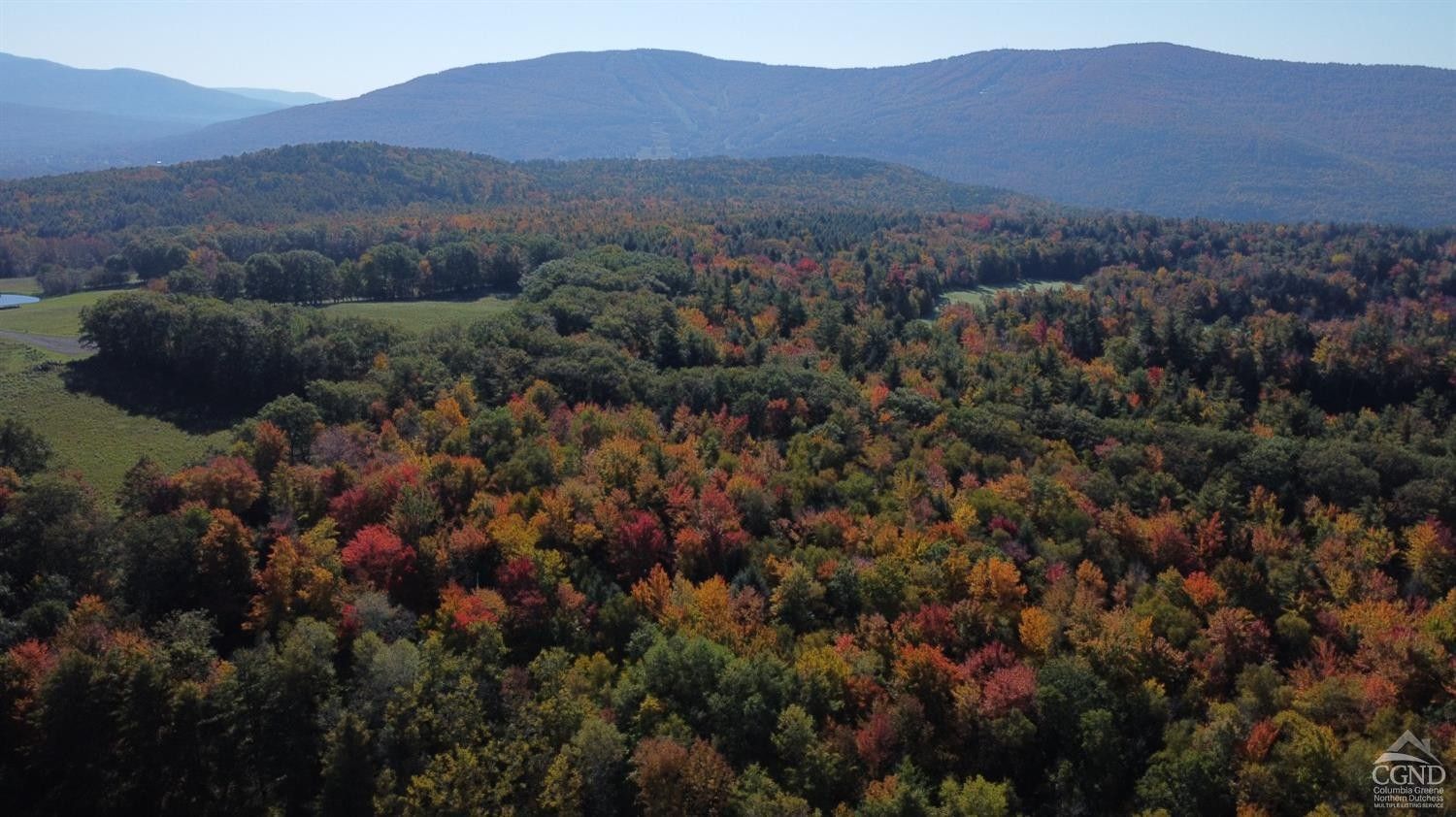 Windham, Greene County, NY Undeveloped Land for sale Property ID