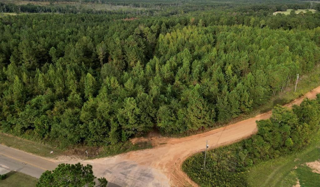 Banks, Pike County, AL Undeveloped Land, Homesites for sale Property ID