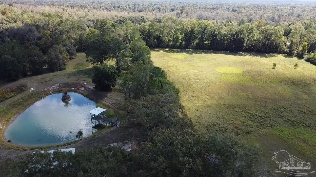 Century, Escambia County, FL Undeveloped Land, Lakefront Property