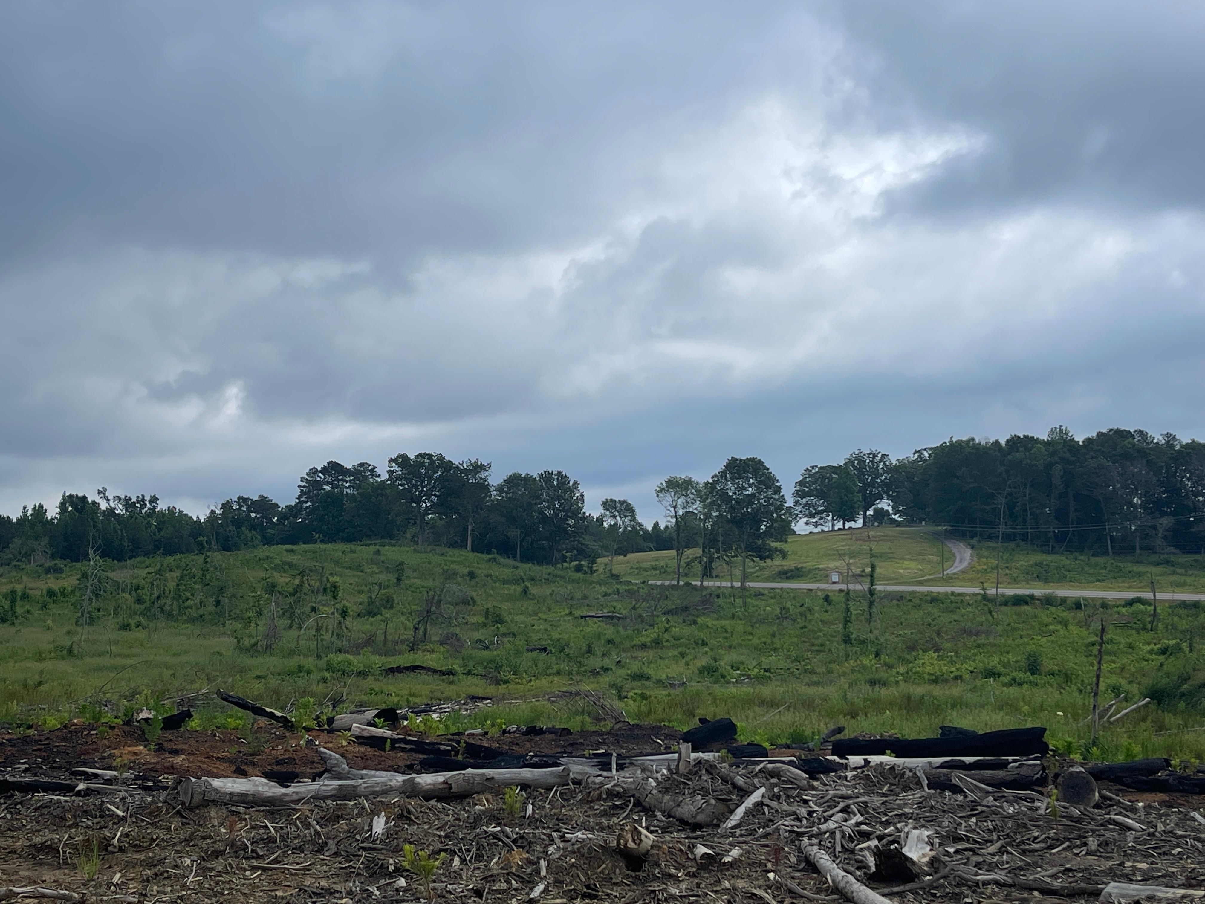 Reform, Pickens County, AL Timberland Property, Undeveloped Land