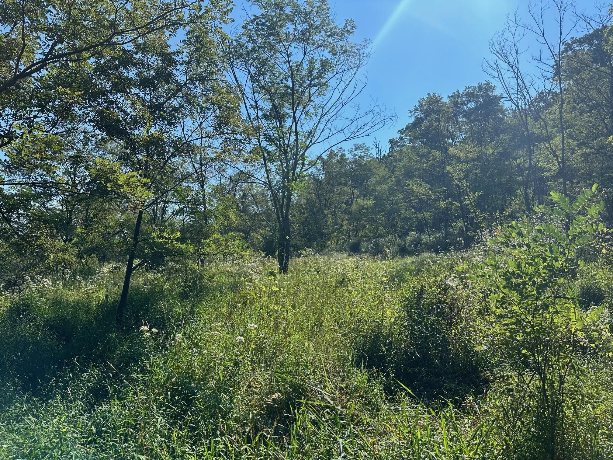 Scotch Valley Drive, Bloomsburg, PA 17815 LandWatch