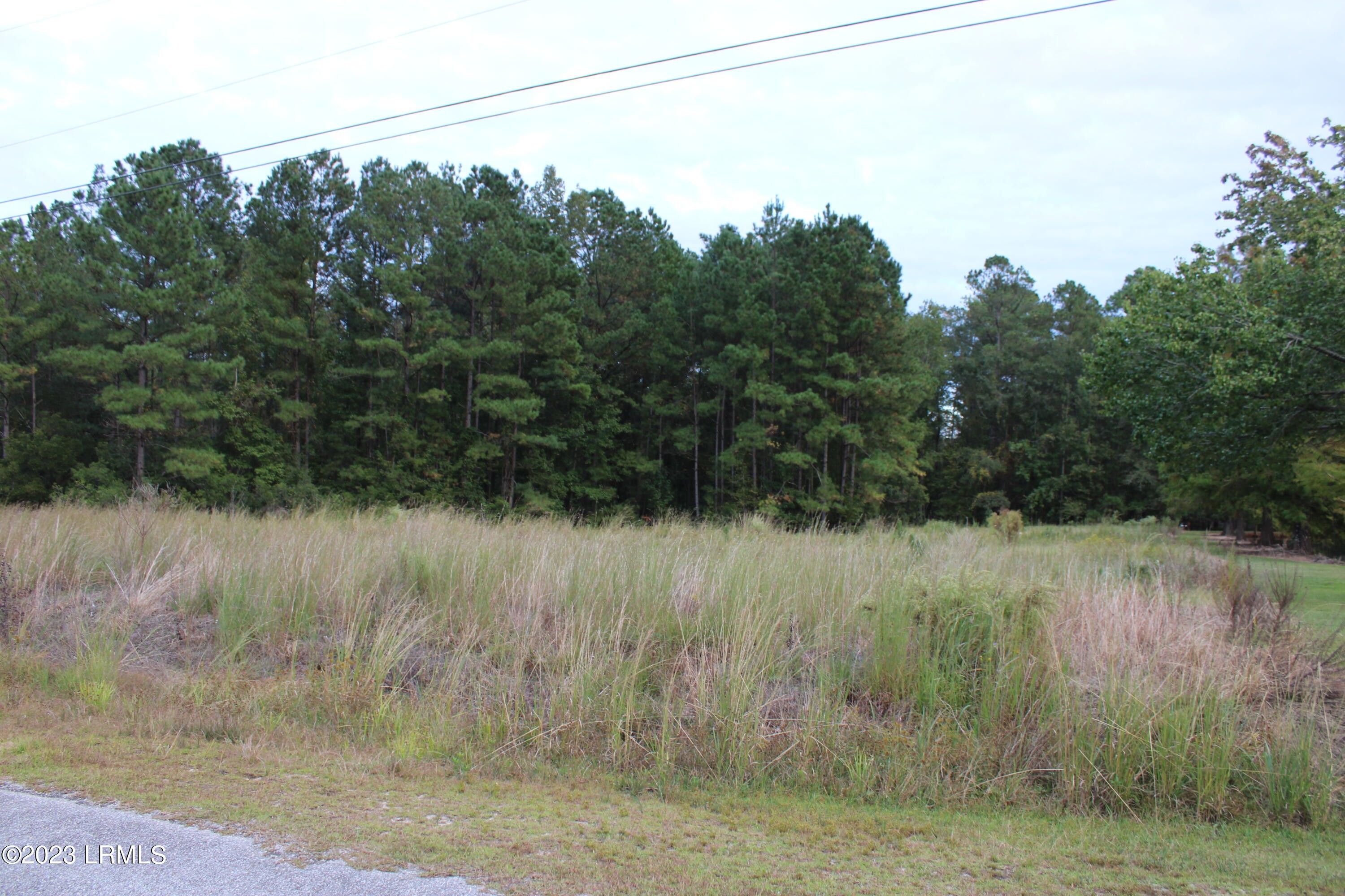 Hampton, Hampton County, SC Undeveloped Land, Homesites for sale Property ID 418013150 LandWatch