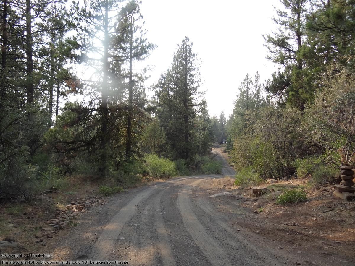 Bonanza, Klamath County, OR Undeveloped Land, Horse Property, Homesites