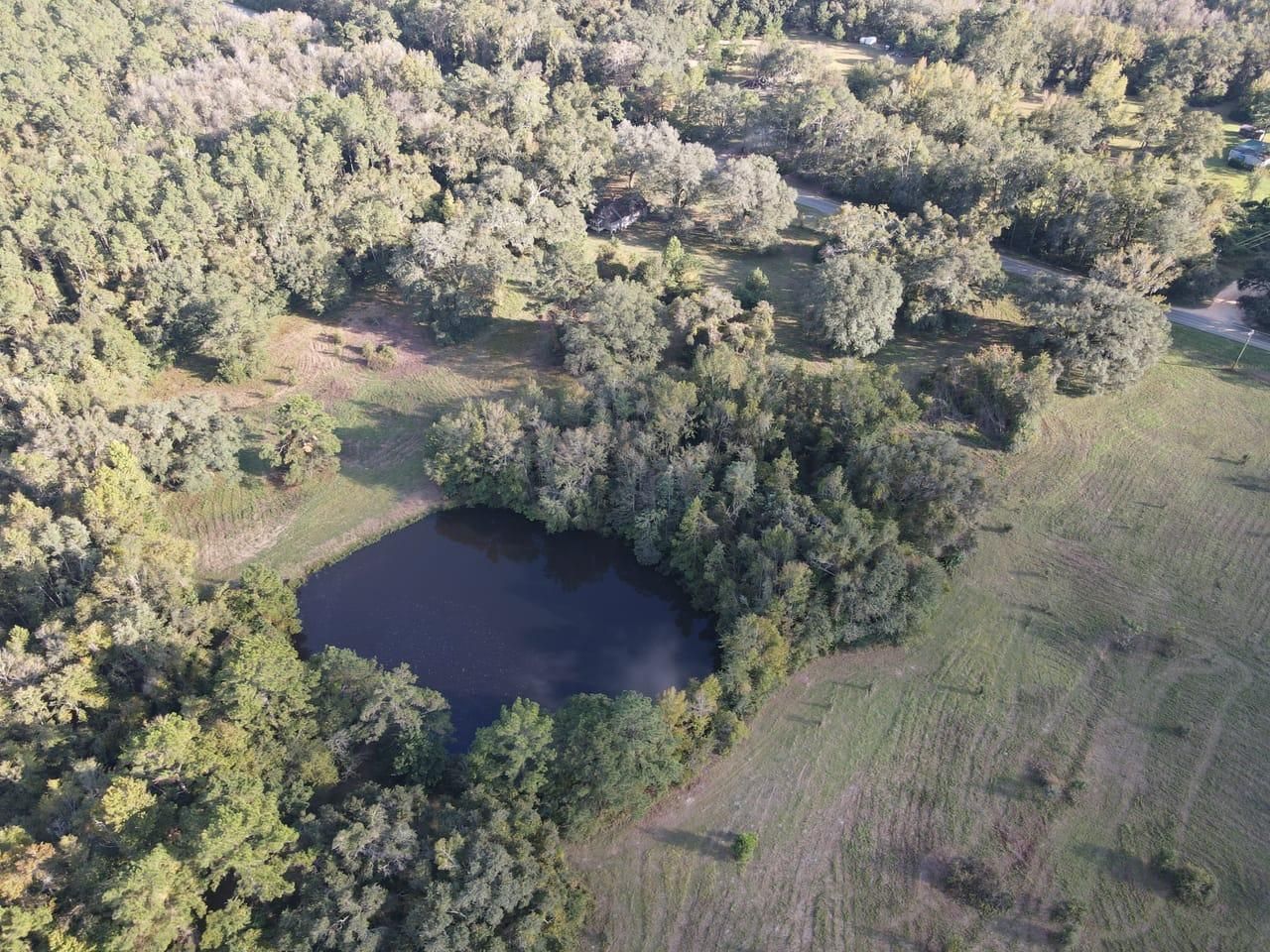 Greenville, Madison County, FL Farms and Ranches, Recreational Property