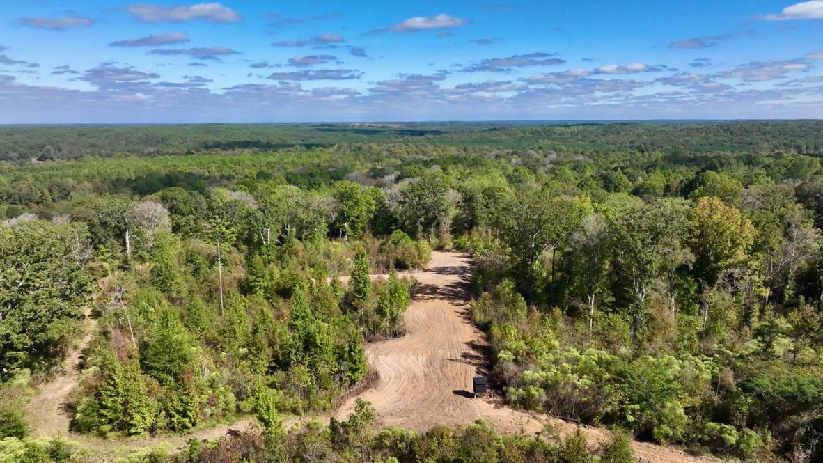 Lexington, Holmes County, MS Recreational Property, Timberland Property