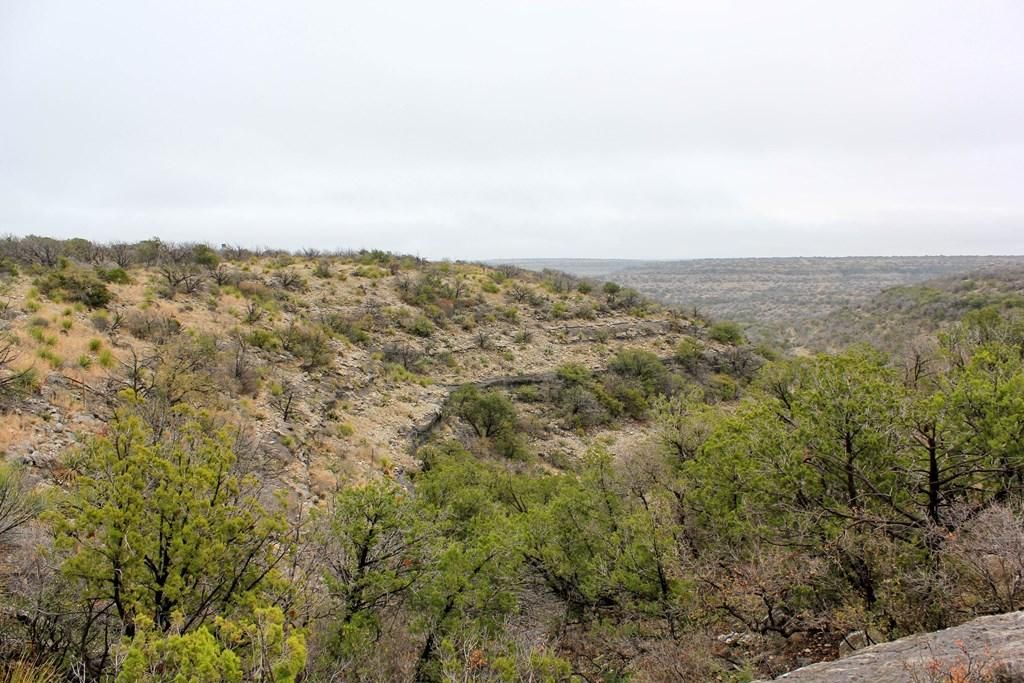 Rd., Ozona, TX 76943 LandWatch