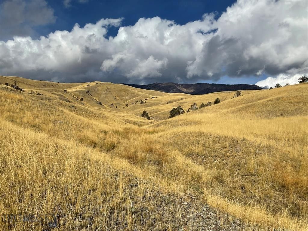 Belfry, Carbon County, MT Undeveloped Land for sale Property ID