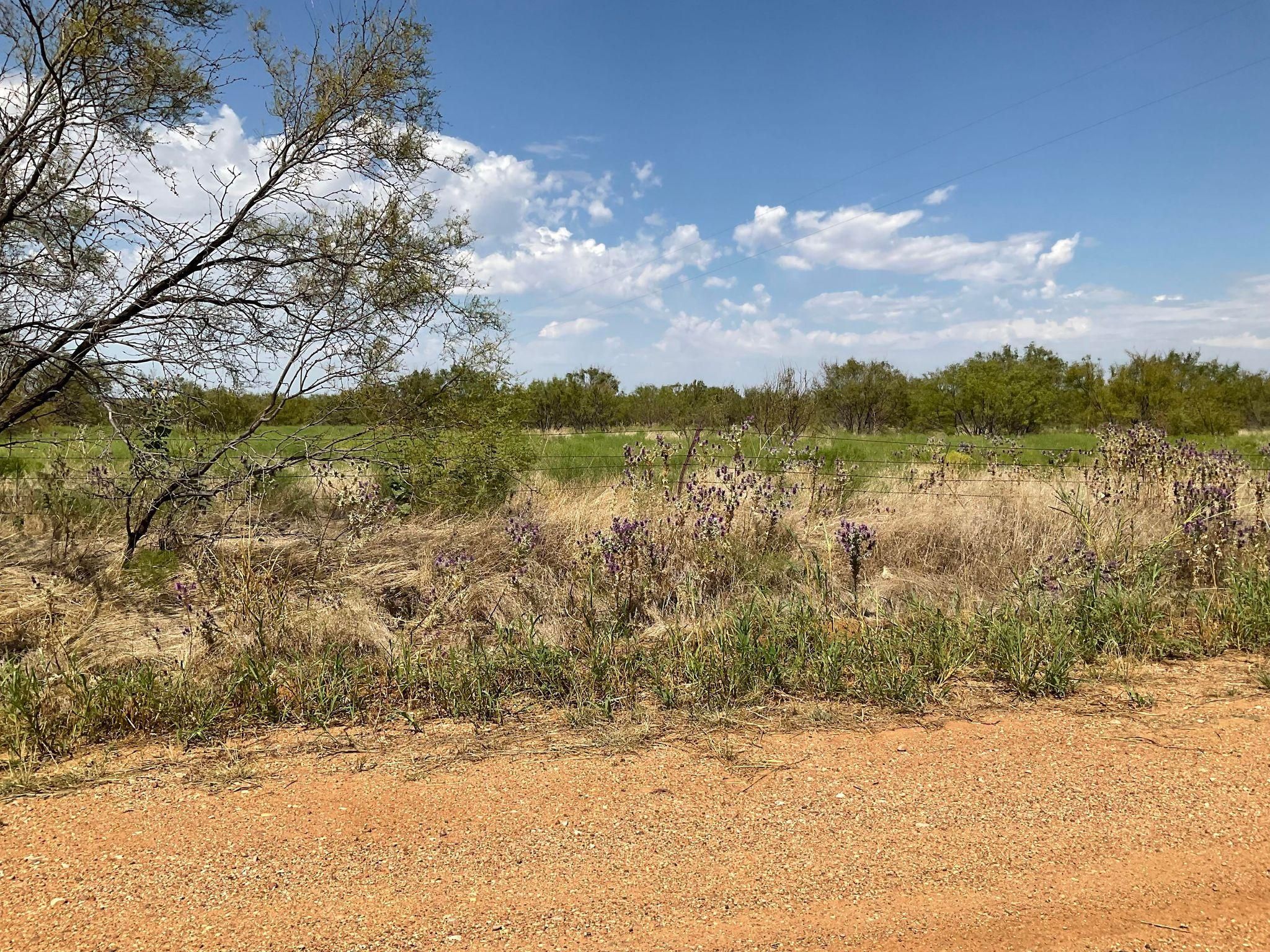 Olney, Young County, TX Farms and Ranches, Recreational Property