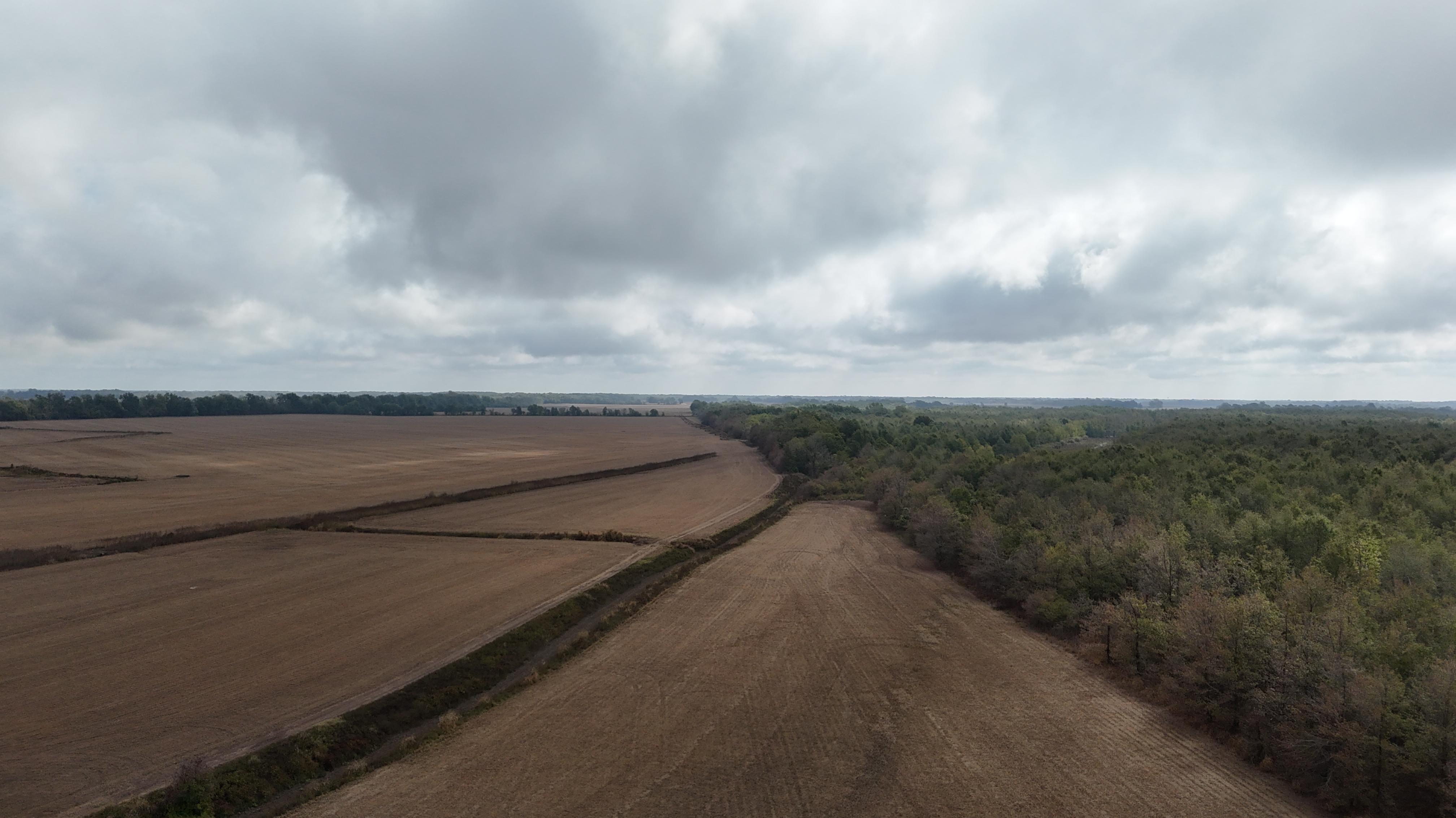 456 acres in Rena Lara, MS, 38614 LandWatch