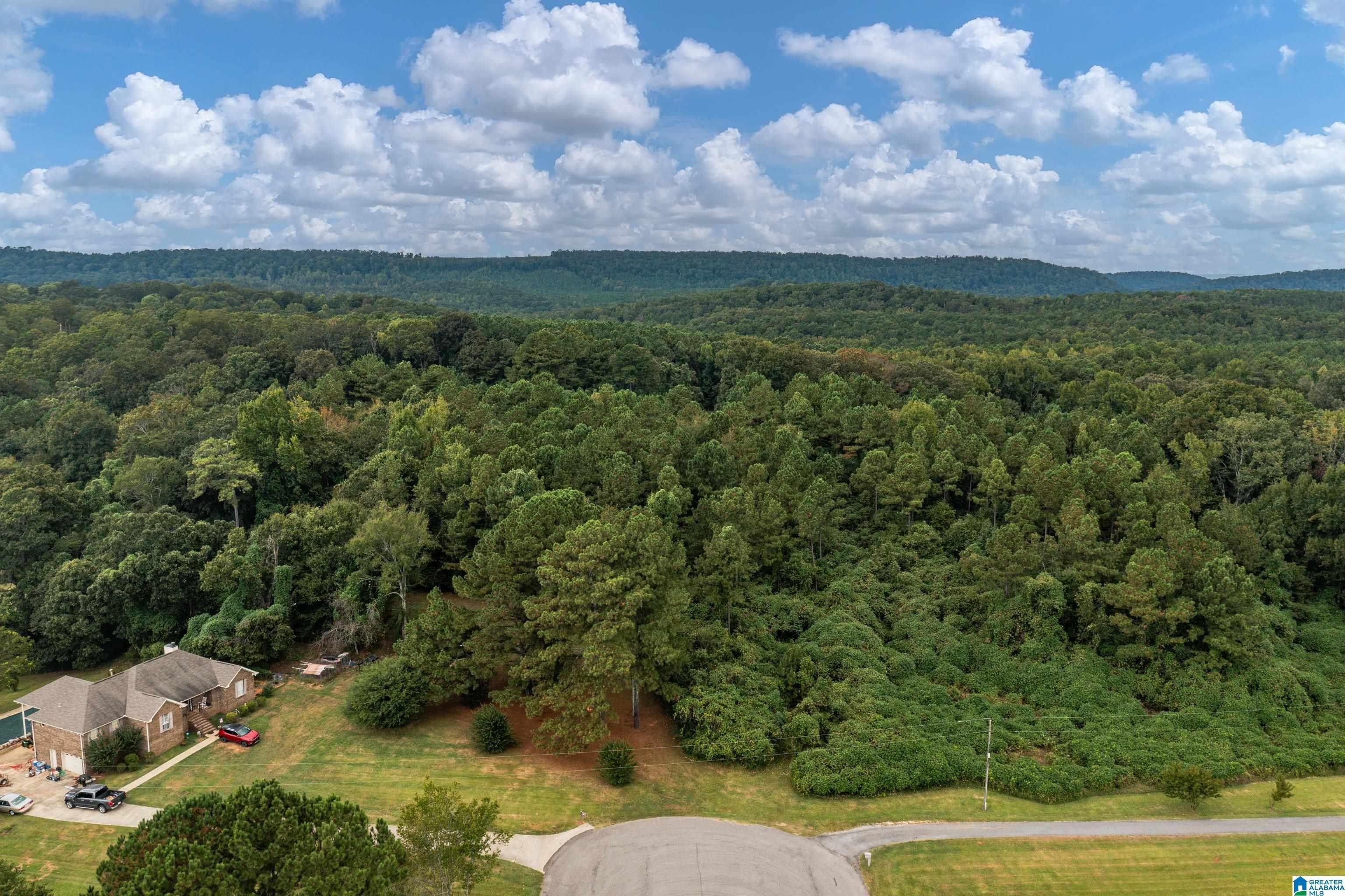 Pinson, Jefferson County, AL Undeveloped Land for sale Property ID
