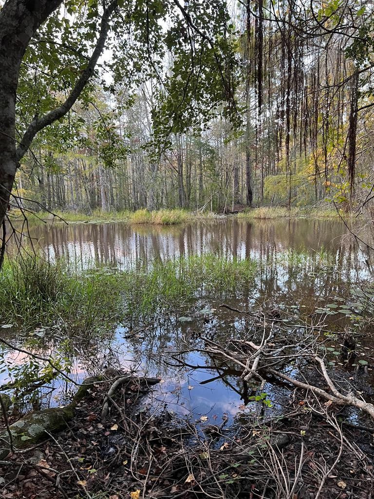 Quitman, Brooks County, GA for sale Property ID 418014684 LandWatch