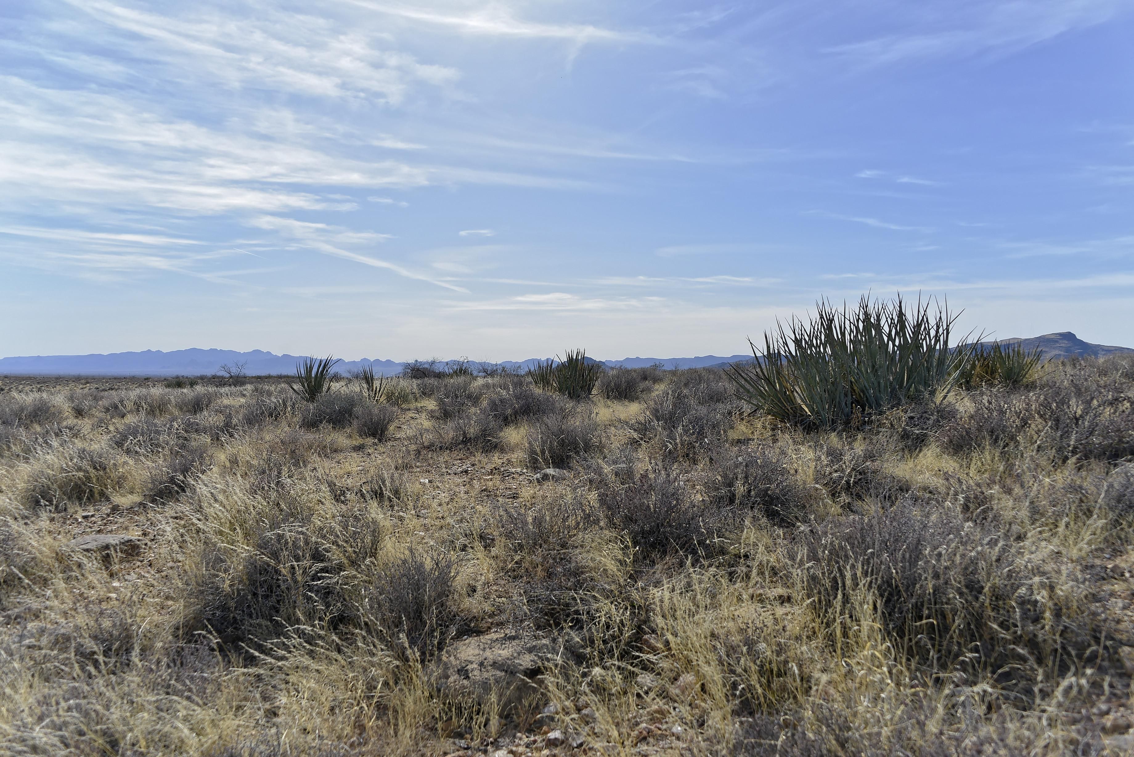 Hackberry, Mohave County, AZ Recreational Property, Undeveloped Land
