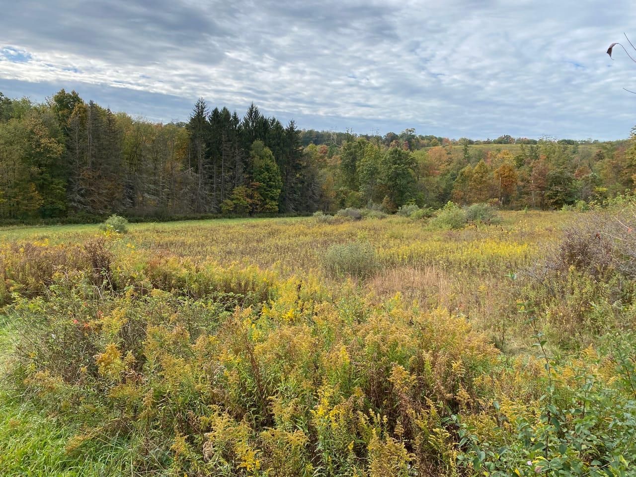 Penn Run, Indiana County, PA Recreational Property, Undeveloped Land
