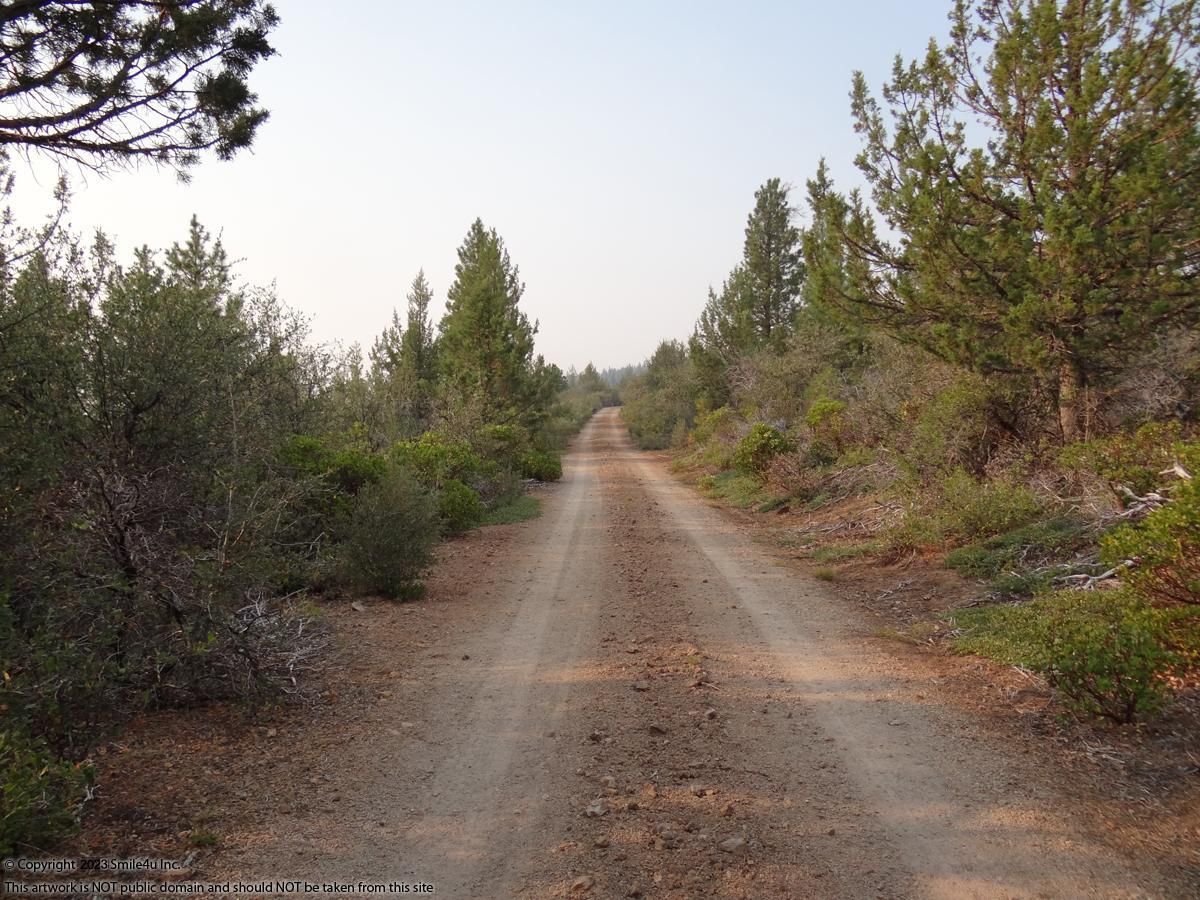Bonanza, Klamath County, OR Undeveloped Land, Horse Property, Homesites