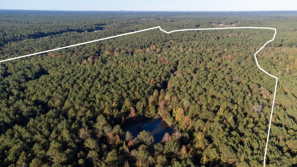 Plum Branch, McCormick County, SC Undeveloped Land, Lakefront Property