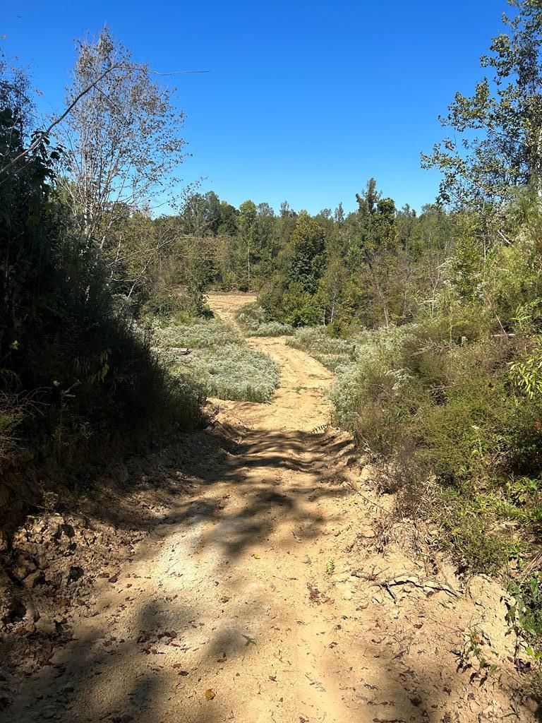 Port Gibson, Claiborne County, MS Recreational Property, Timberland