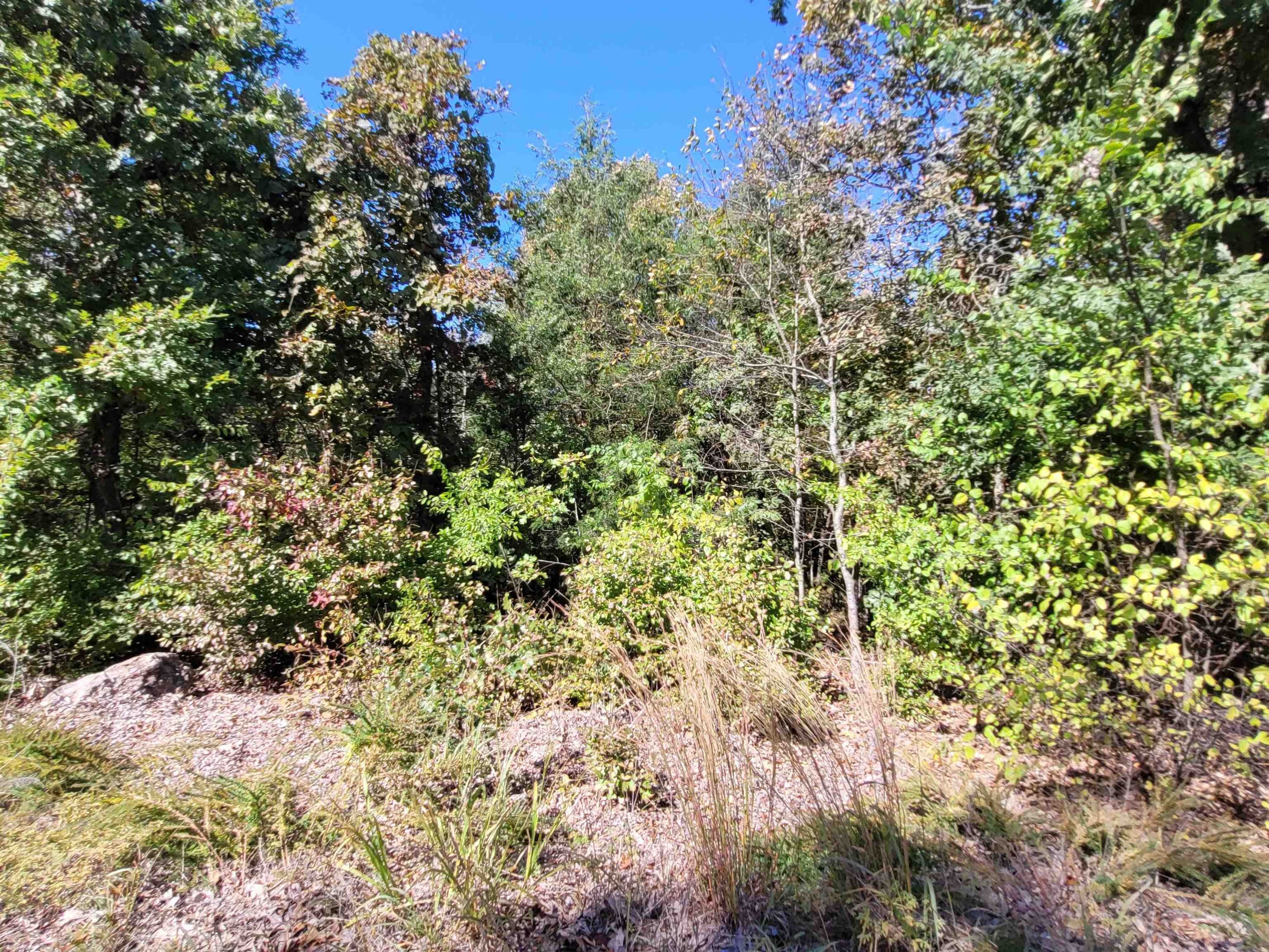 TBD Linwood Drive, Briarcliff, AR 72653 MLS 23033215 LandWatch