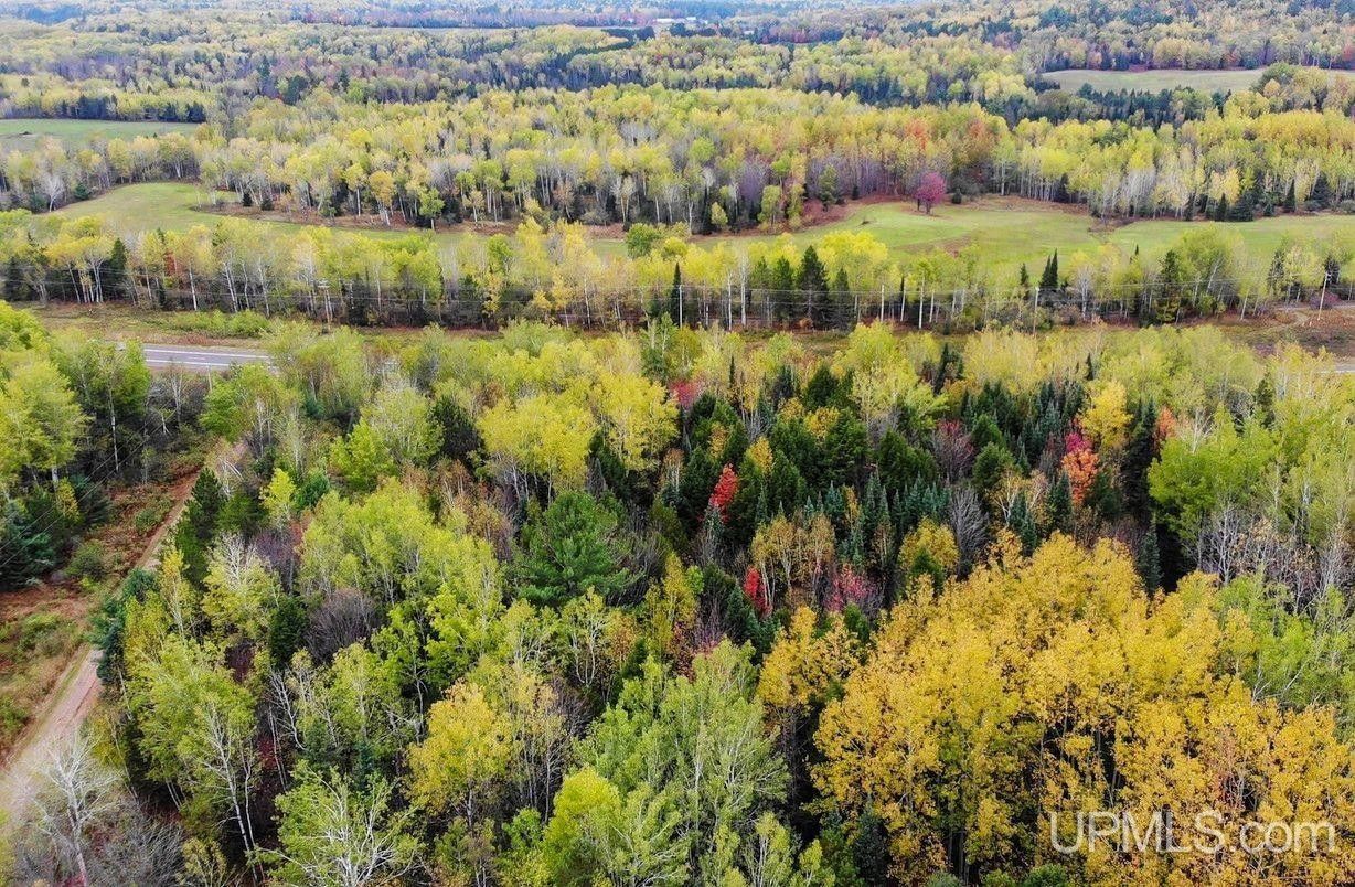 Trout Creek, Ontonagon County, MI Undeveloped Land for sale Property ID