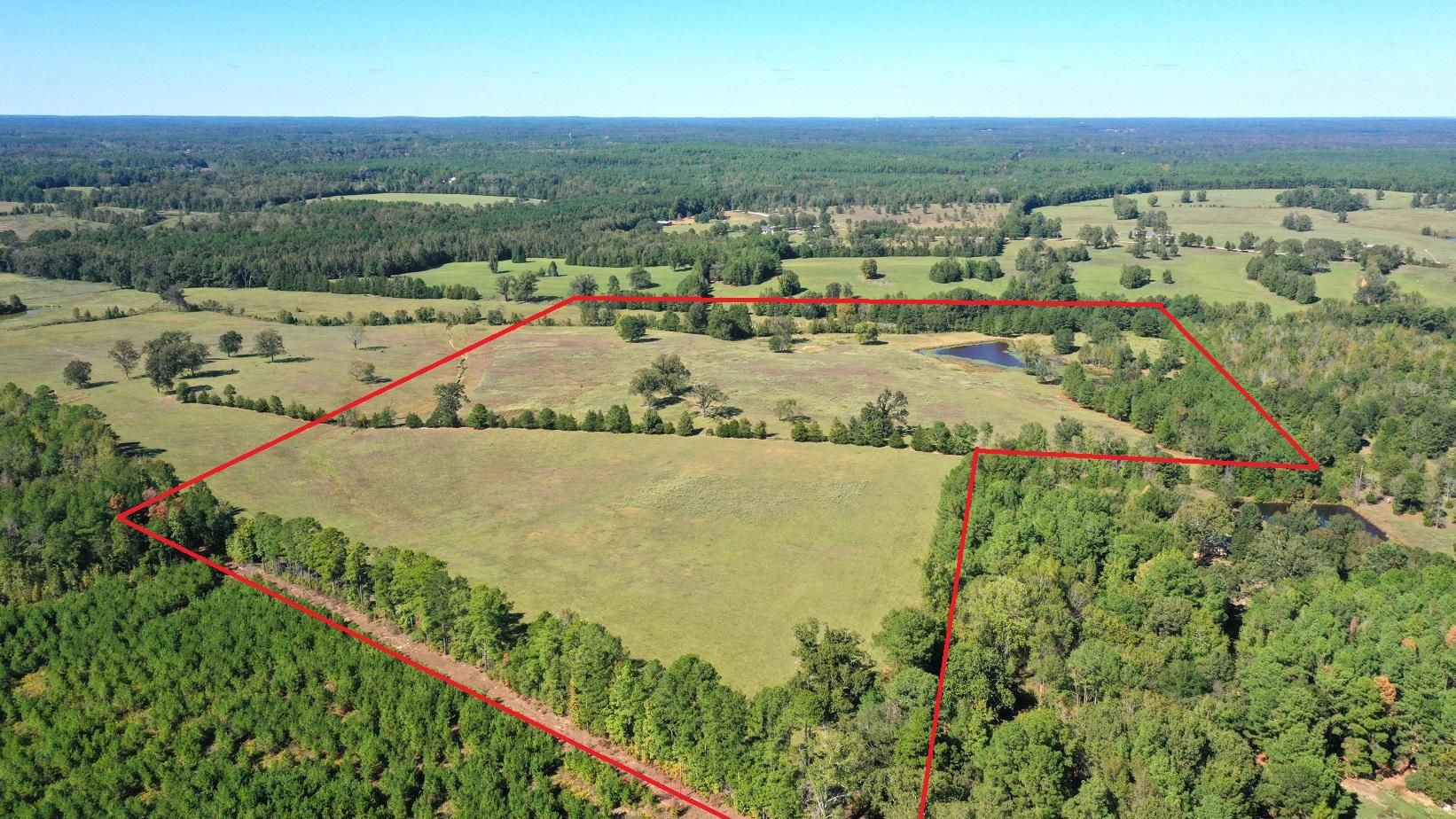 001 County Road 4335, Bivins, TX 75555 MLS 20236183 LandWatch