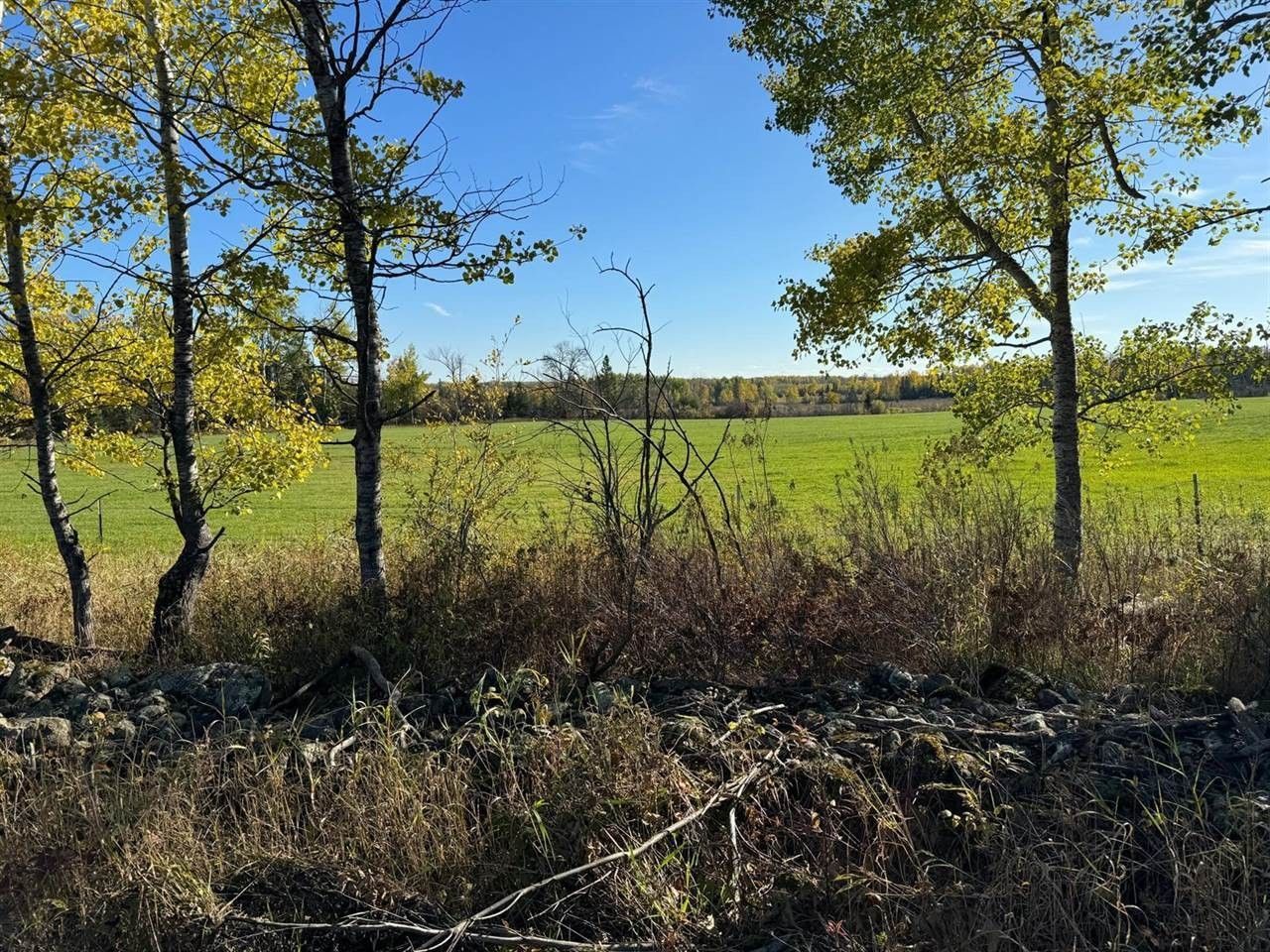 Sturgeon Lake, Pine County, MN Undeveloped Land for sale Property ID