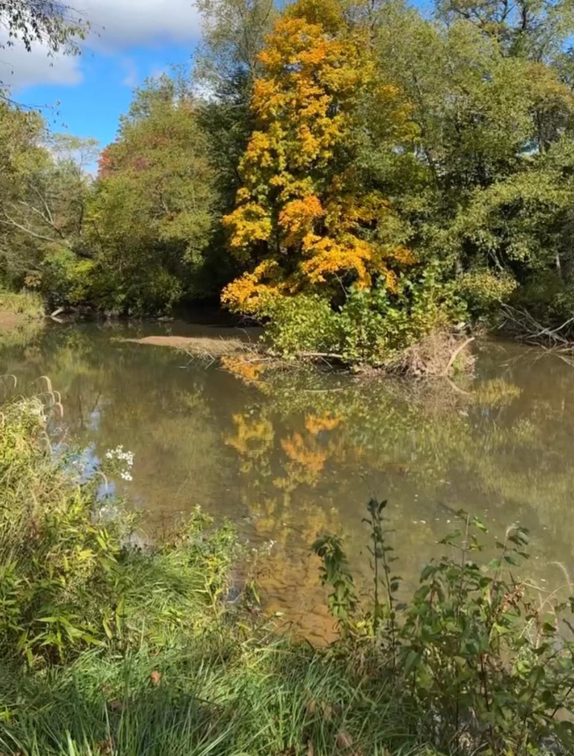 Lee Hollow Road, Mahaffey, PA 15757 MLS 11216663 LandWatch