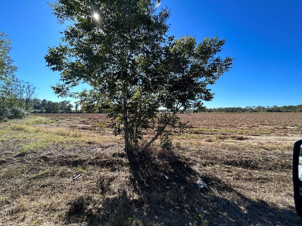 Cottonwood, Houston County, AL for sale Property ID 418018461 LandWatch