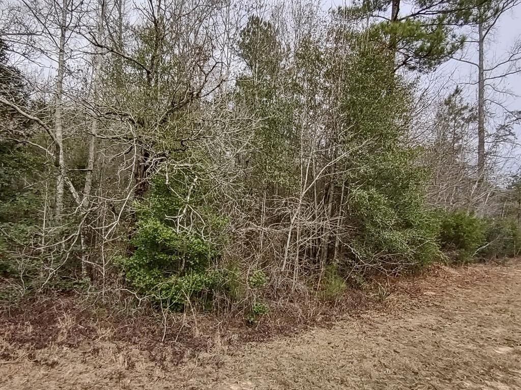 Buena Vista, Marion County, GA Undeveloped Land for sale Property ID